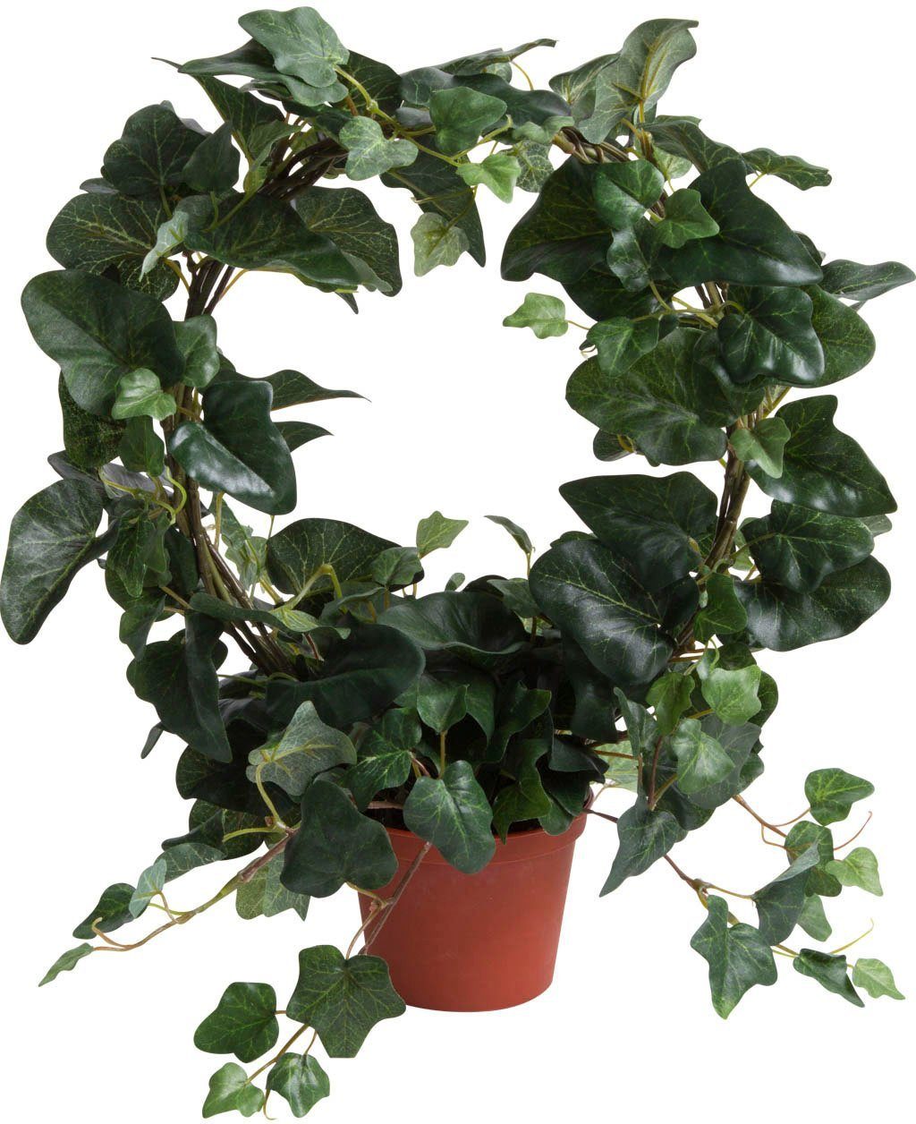 Künstliche Zimmerpflanze Efeubogen im Topf Efeu, Botanic-Haus, Höhe 38 cm günstig online kaufen