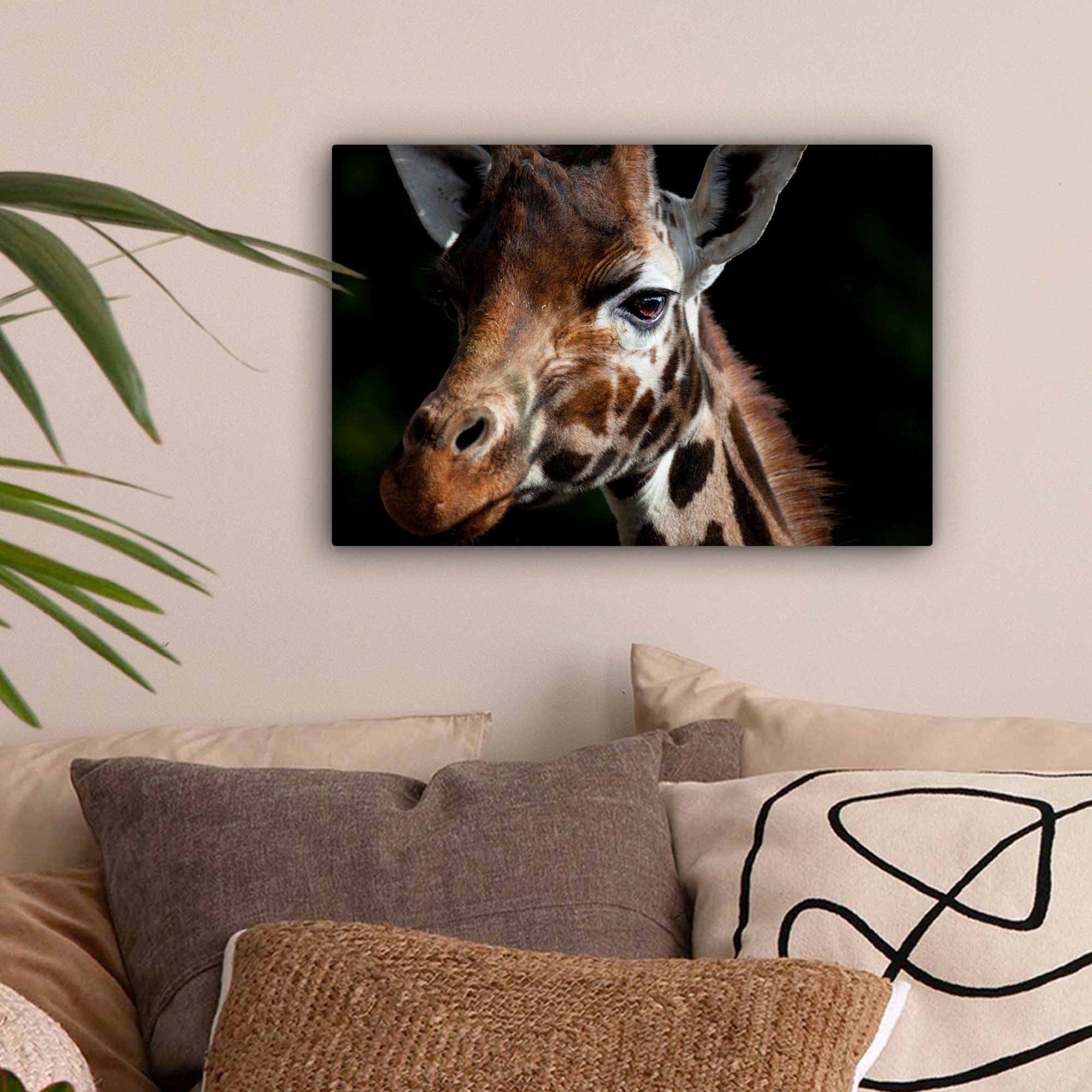Leinwandbilder, cm Leicht OneMillionCanvasses® (1 - 30x20 Giraffe Wandbild - Aufhängefertig, Schwarz, Leinwandbild St), Wanddeko,