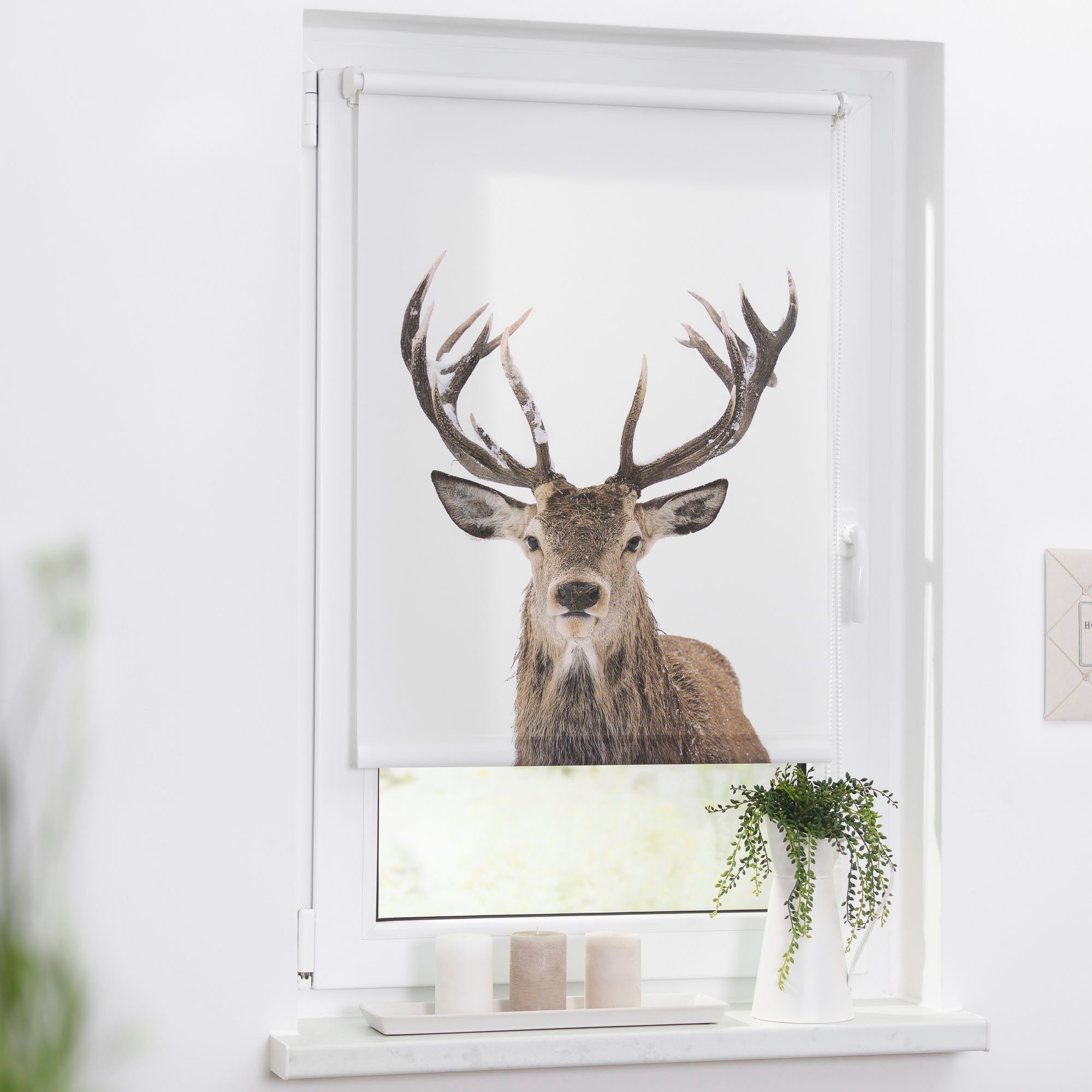 Seitenzugrollo Klemmfix Motiv Hirsch, LICHTBLICK ORIGINAL, günstig online kaufen