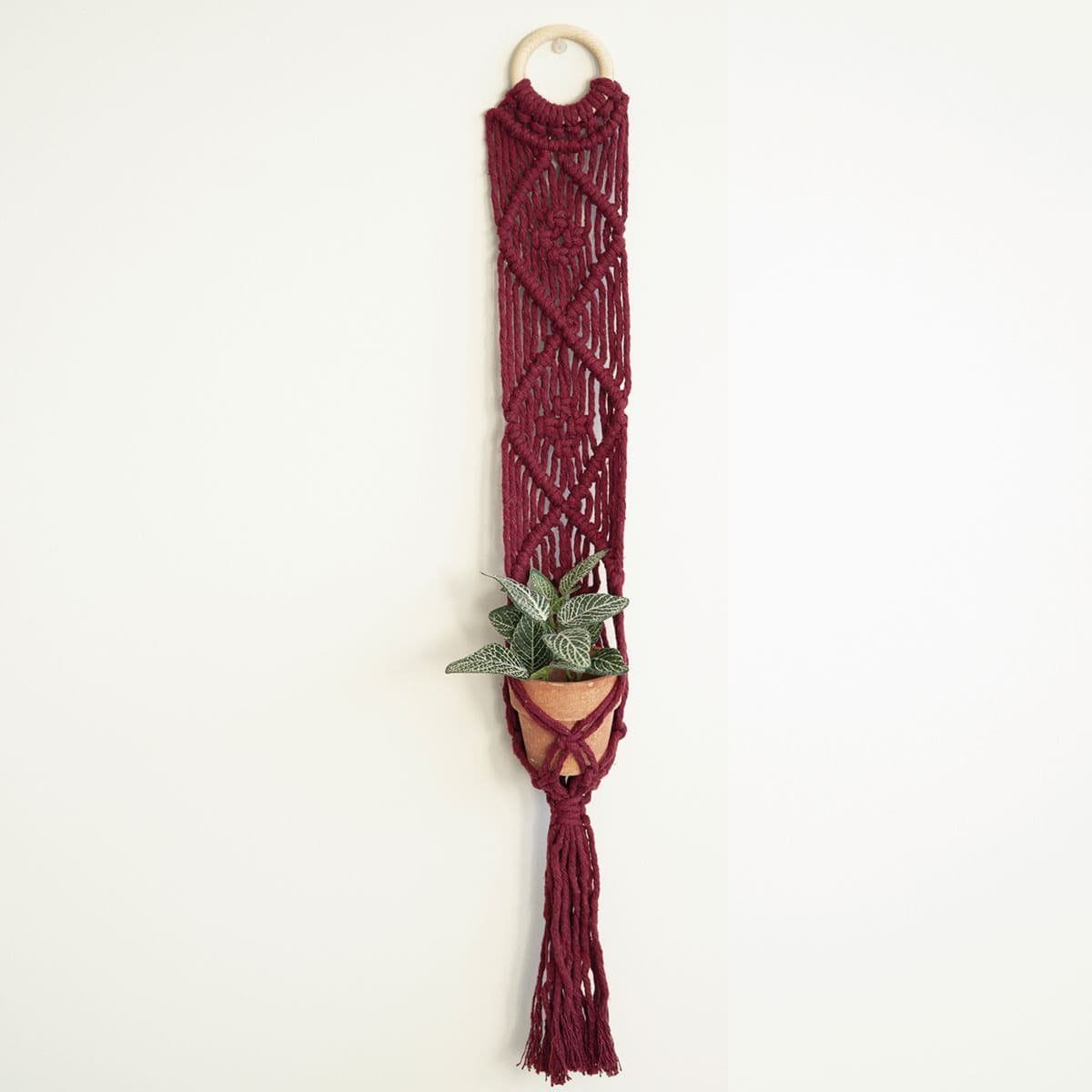 Hoooked Kreativset Hoooked Makramee Blumenampel Set Bali Spesso Berry DIY, (embroidery kit by Marussia)