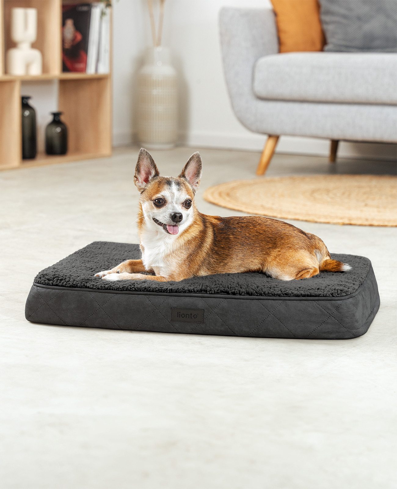 lionto Tierkissen lionto orthopädisches Hundebett, für günstig online kaufen