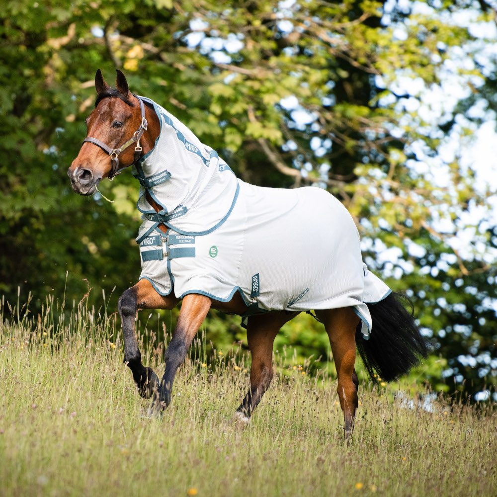 Horseware Ekzemerdecke Horseware AmEco Bug Rug