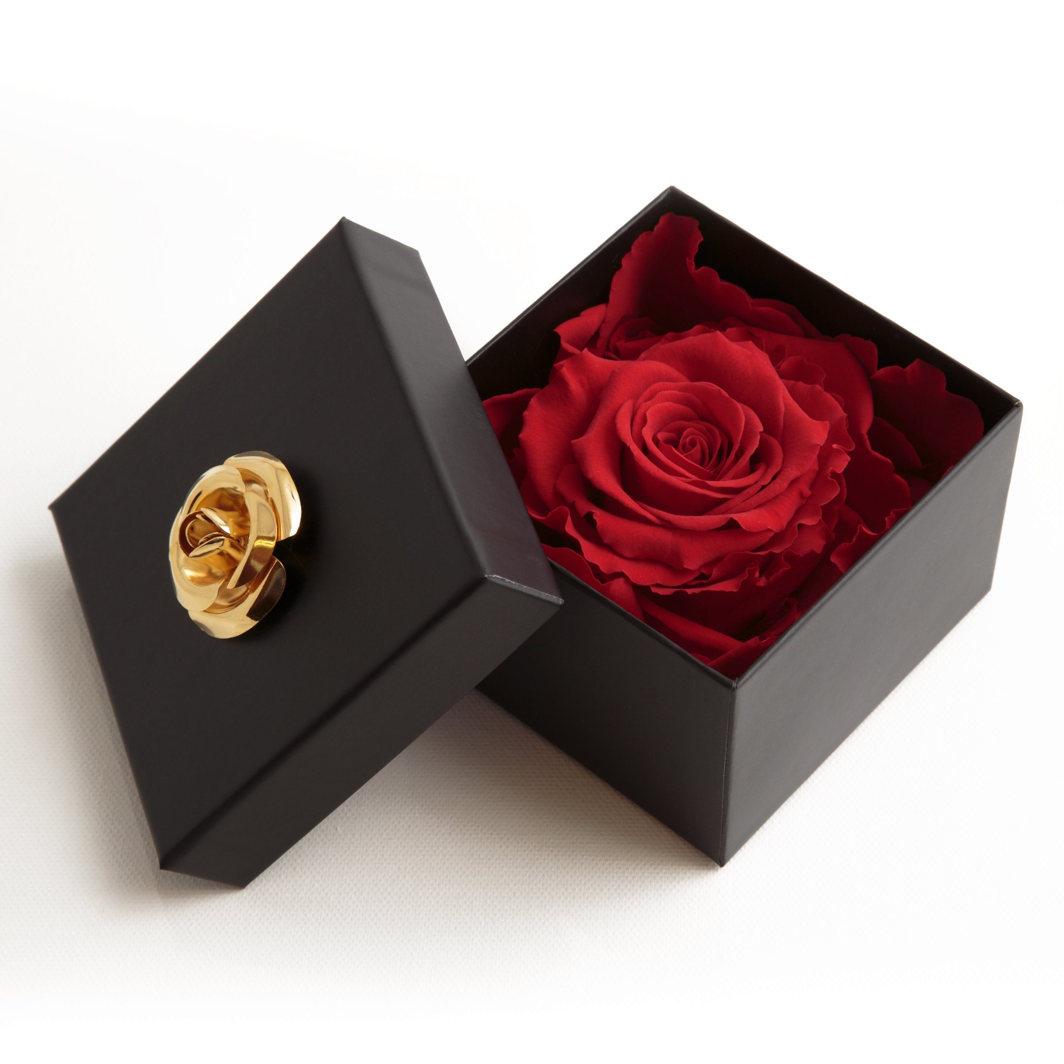 Echte 3 Rose Heidelberg, rot 3 zu Blumendeckel SCHULZ haltbar cm, in Rose, haltbar Box Rose mit Infinity 6.5 Jahre Jahre Kunstblume bis Rose 1 ROSEMARIE Höhe