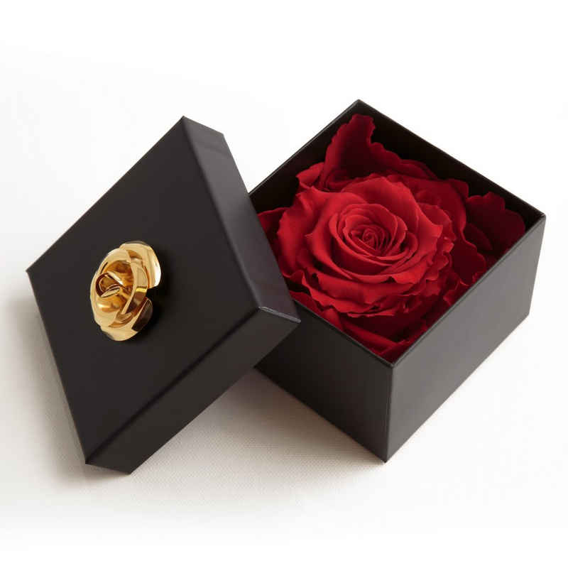 Kunstblume »1 Infinity Rose haltbar 3 Jahre Rose in Box mit Blumendeckel« Rose, ROSEMARIE SCHULZ Heidelberg, Höhe 6.5 cm, Echte Rose haltbar bis zu 3 Jahre
