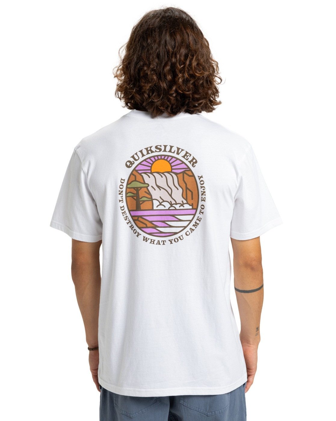 Quiksilver T-Shirt Ev Summer Salt günstig online kaufen