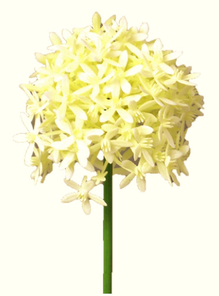 Kunstblume Kunstblume ALLIUM ca 52cm. Blütenkopf ca 7cm., Gasper, Höhe 52.00 cm