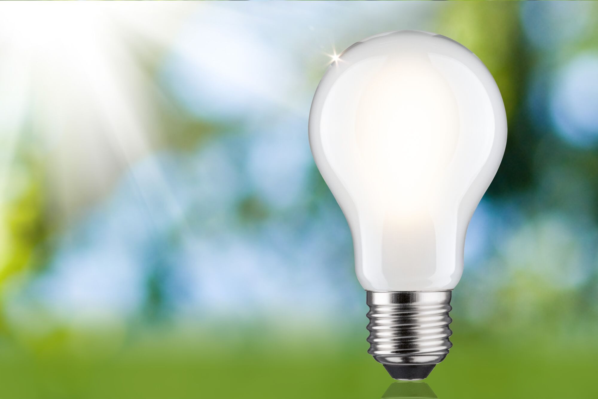Paulmann LED-Leuchtmittel Eco-Line Filament 230V LED Birne E27 1521lm 8,2W 3000K dimmbar Matt, E27, 1 St., Warmweiß