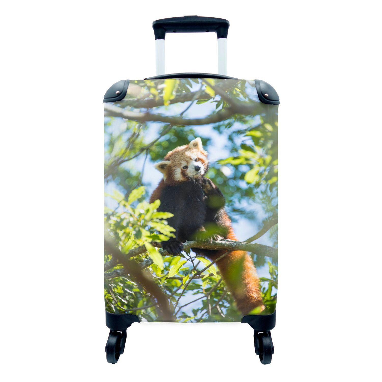 MuchoWow Handgepäckkoffer Panda - Pflanzen - Baum, 4 Rollen, Reisetasche mit rollen, Handgepäck für Ferien, Trolley, Reisekoffer