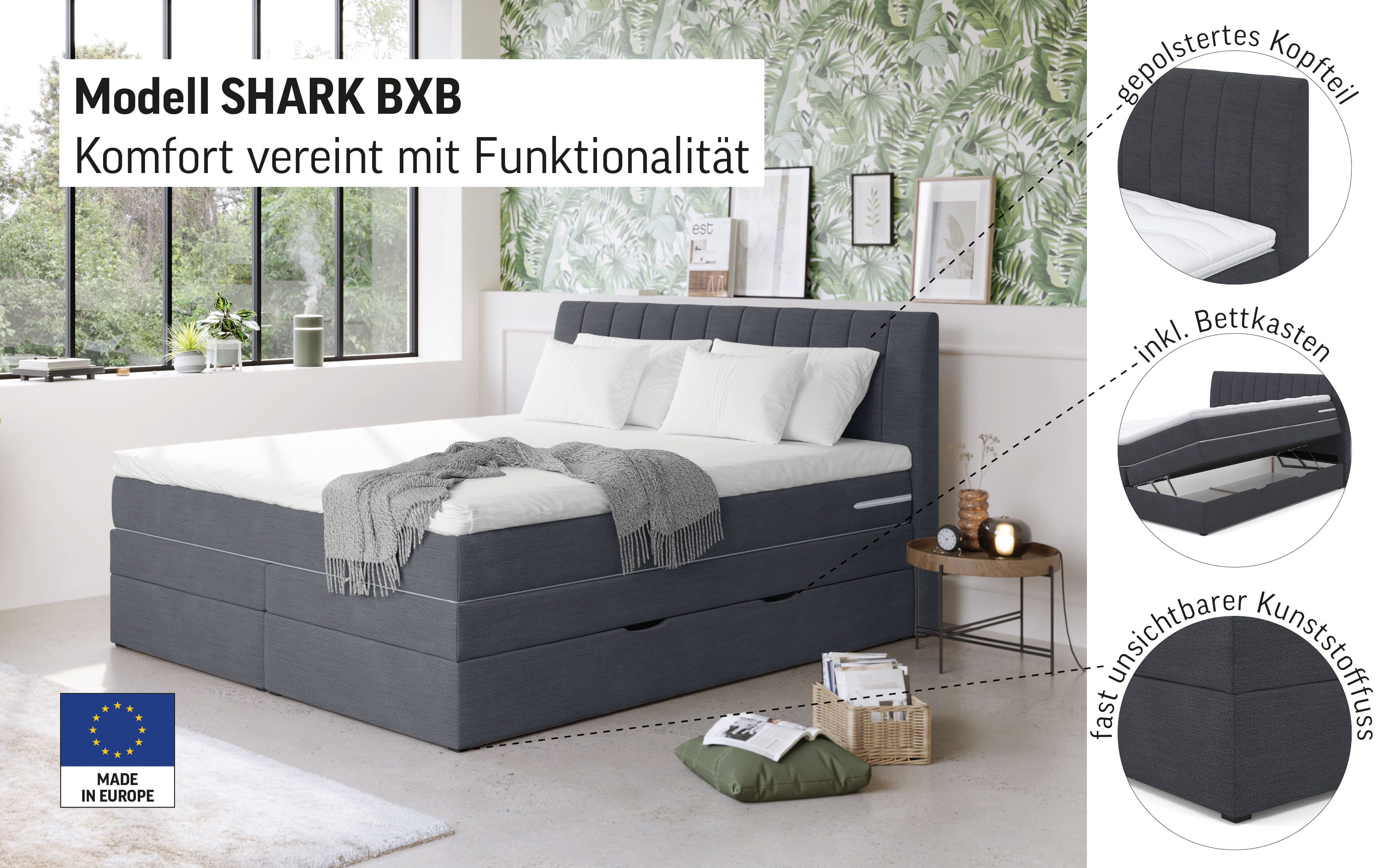 COTTA Boxspringbett Shark inkl. Bettkasten und Topper, erhältlich in den Breiten 140x200cm, 160x200cm und 180x200cm