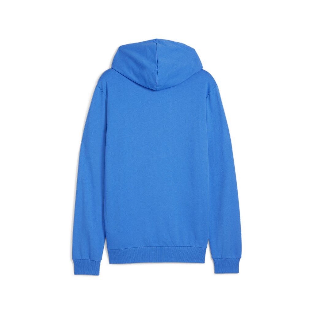 PUMA Kapuzenpullover Herren teamGOAL Casuals Hoody günstig online kaufen