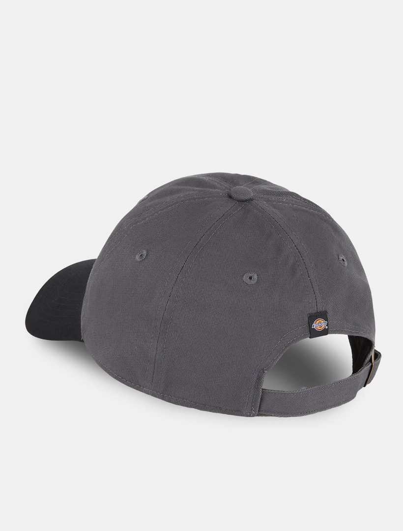 Dickies Baseball Cap Dickies Workwear Mützen TWILL DAD HAT