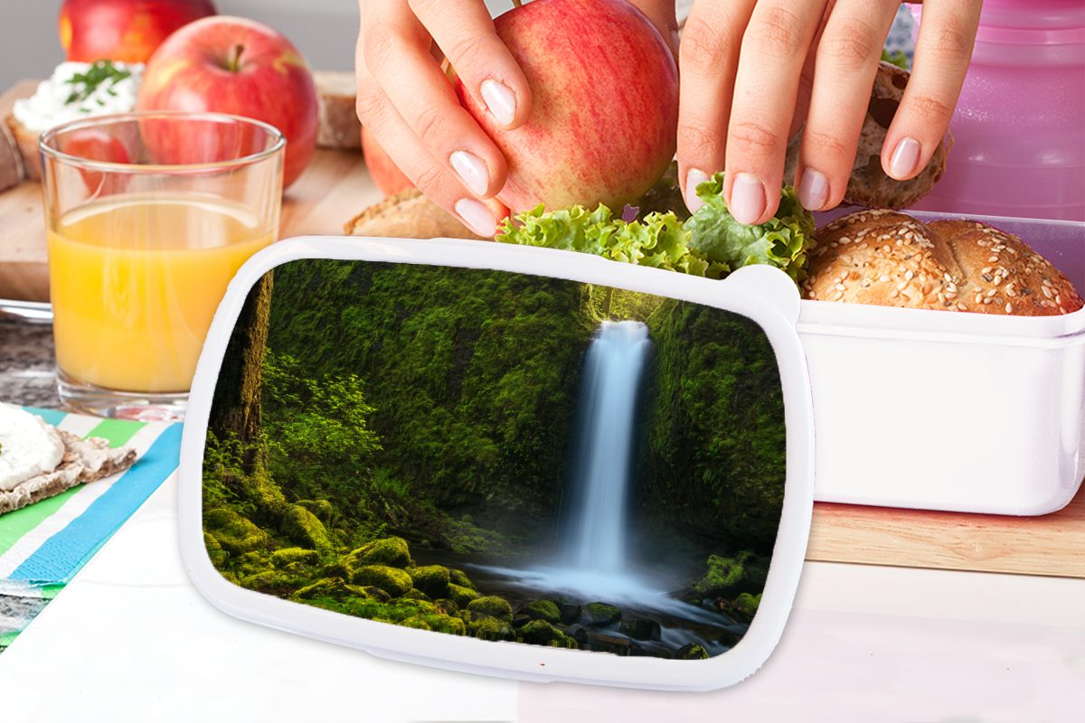 MuchoWow Lunchbox Dschungel - Wasserfall und und Brotbox für Natur, Brotdose, (2-tlg), für - Kinder weiß Jungs Kunststoff, Mädchen Erwachsene