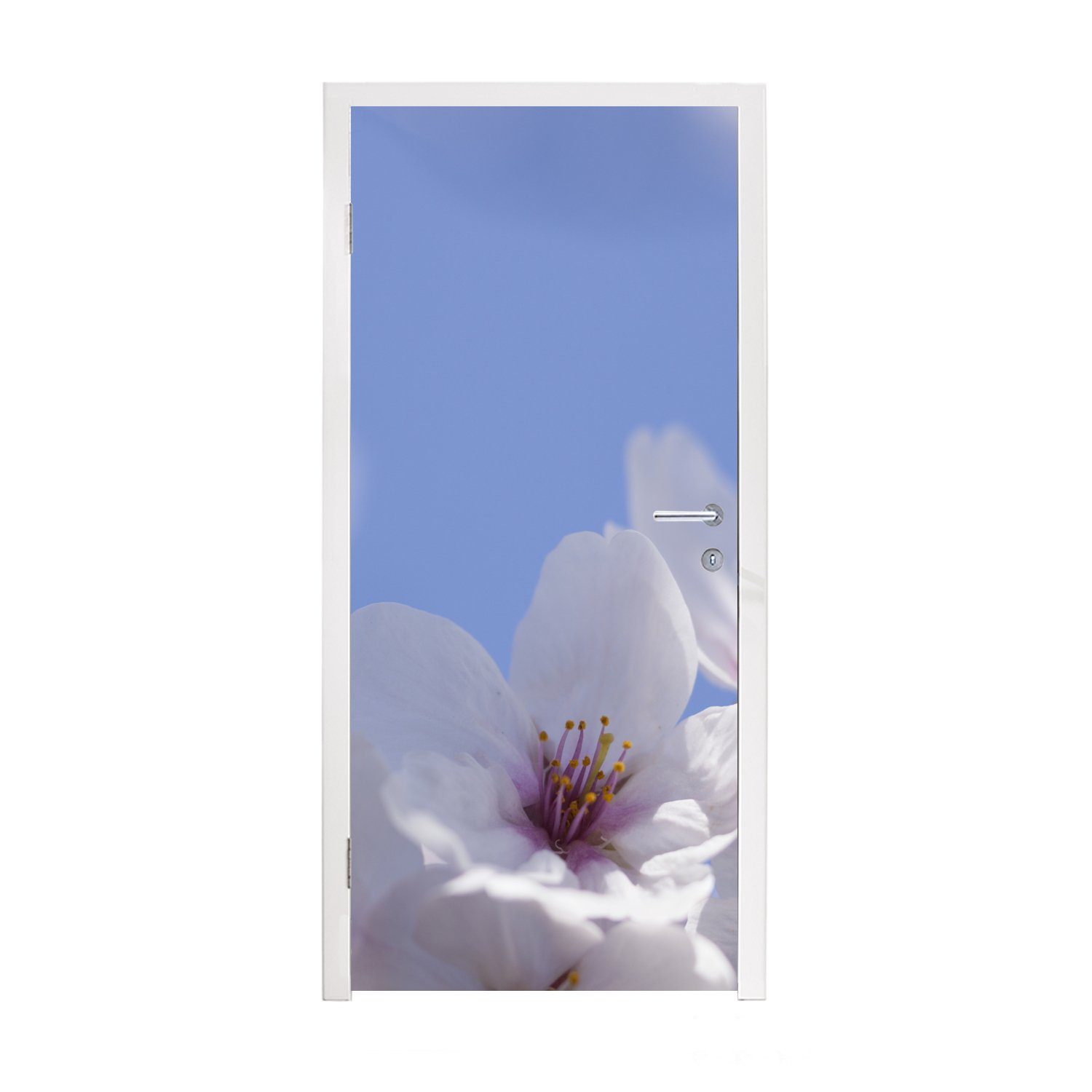 MuchoWow Türtapete Blüte - für Frühling, Matt, cm Türaufkleber, Tür, - 75x205 bedruckt, Fototapete (1 Blumen St)
