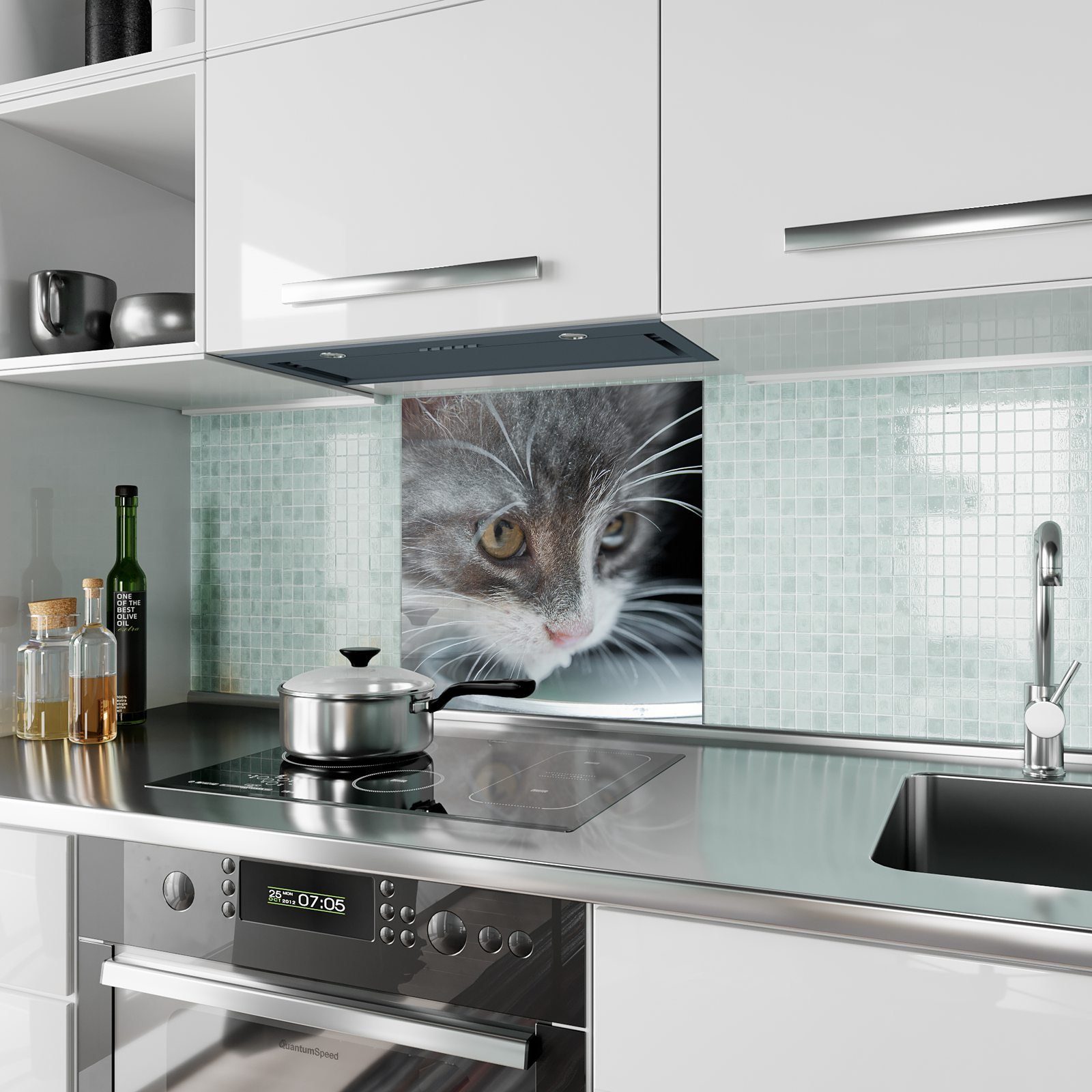 Spritzschutz Küchenrückwand Hungrige Primedeco Glas Katze