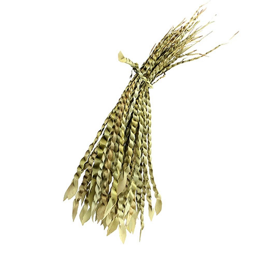 Trockenblume Elegante Dekorative Schilf-Ranke für Trauer und Herbst, 50 Stück, Florists Products, Höhe 1 cm