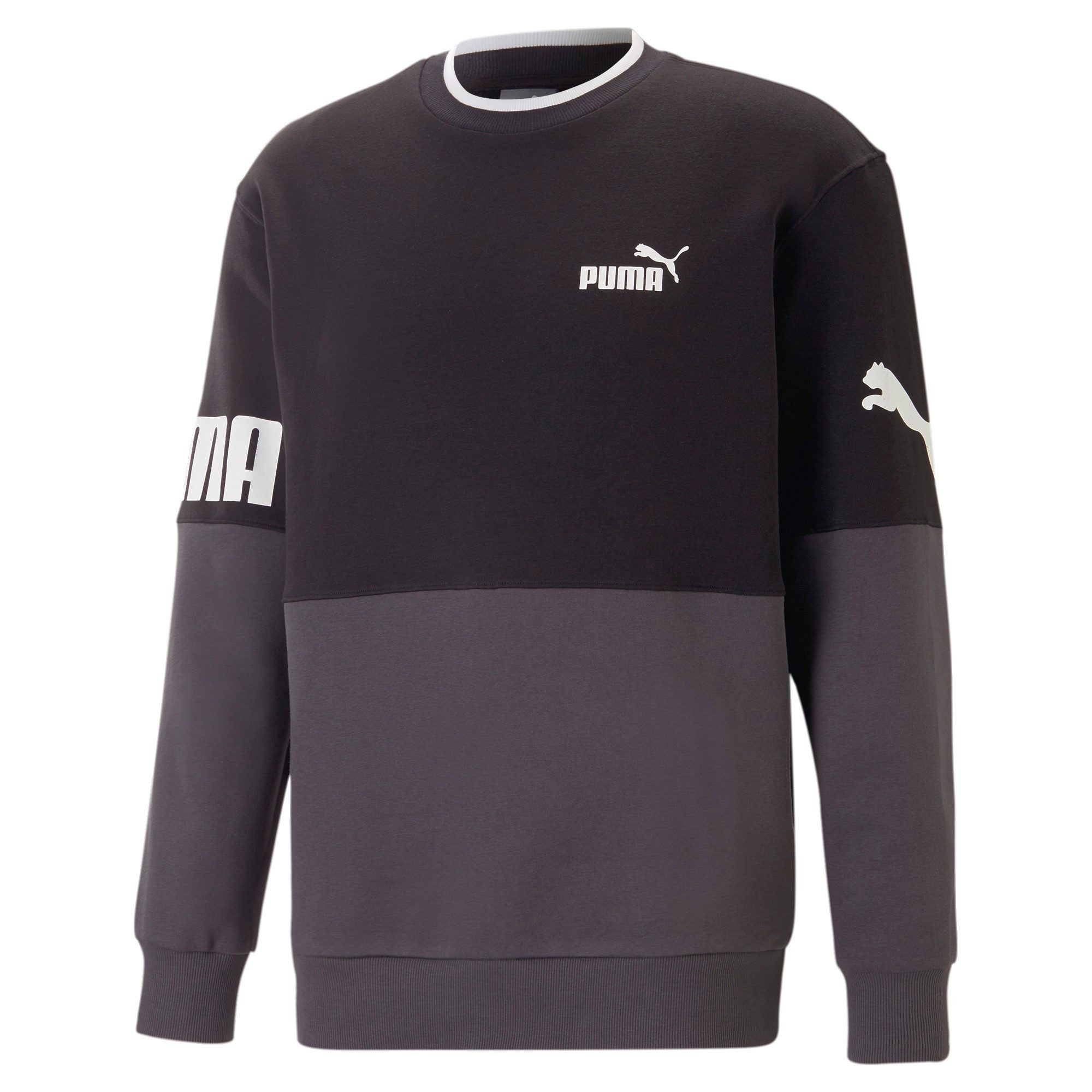 Fleecepullover Puma Herren Pullover Power Colorblock Crew TR 673323