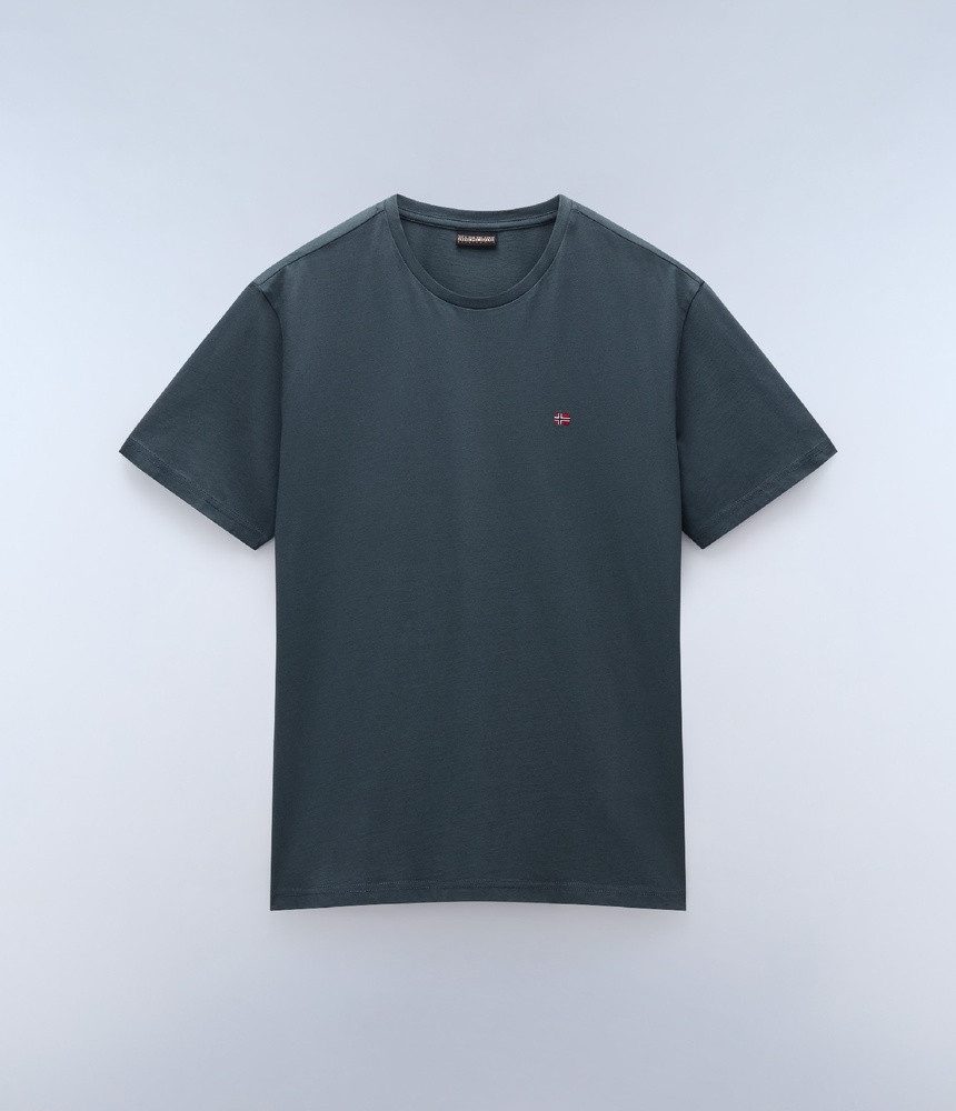 Napapijri T-Shirt Salis Ss Sum günstig online kaufen