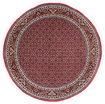 Orientteppich Perser - Bidjar rund - 155 x 155 cm - dunkelrot, morgenland, rund, Höhe: 15 mm, Wohnzimmer, Handgeknüpft, Einzelstück mit Zertifikat