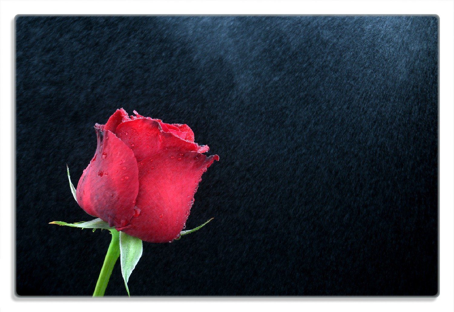 dunklem Gummifüße (inkl. Rose vor Wallario Frühstücksbrett rutschfester 1-St), 20x30cm Hintergrund, 4mm,