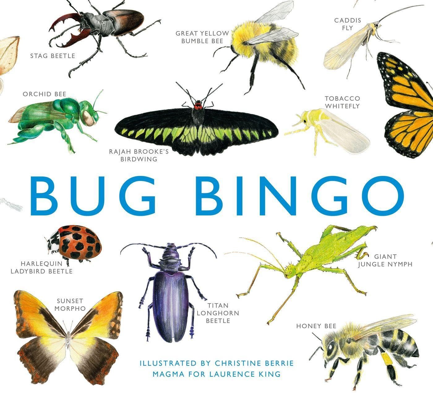 Spiel Bug Bingo