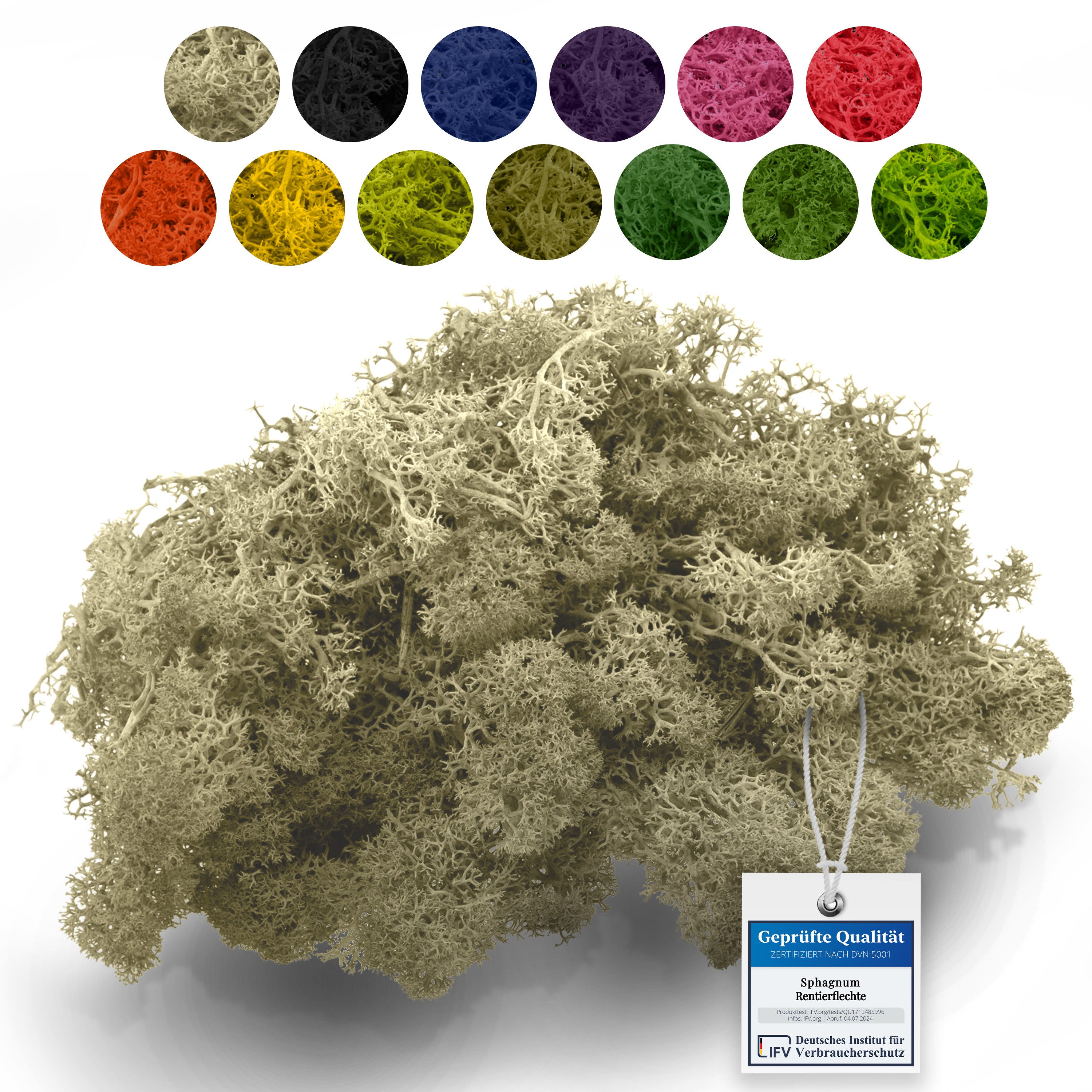 sphagnum-shop.com Bastelnaturmaterial Islandmoos Rentierflechte 500g, Echtes Moos zum Basteln & Dekorieren, Farbecht, Formstabil, Pflegefrei