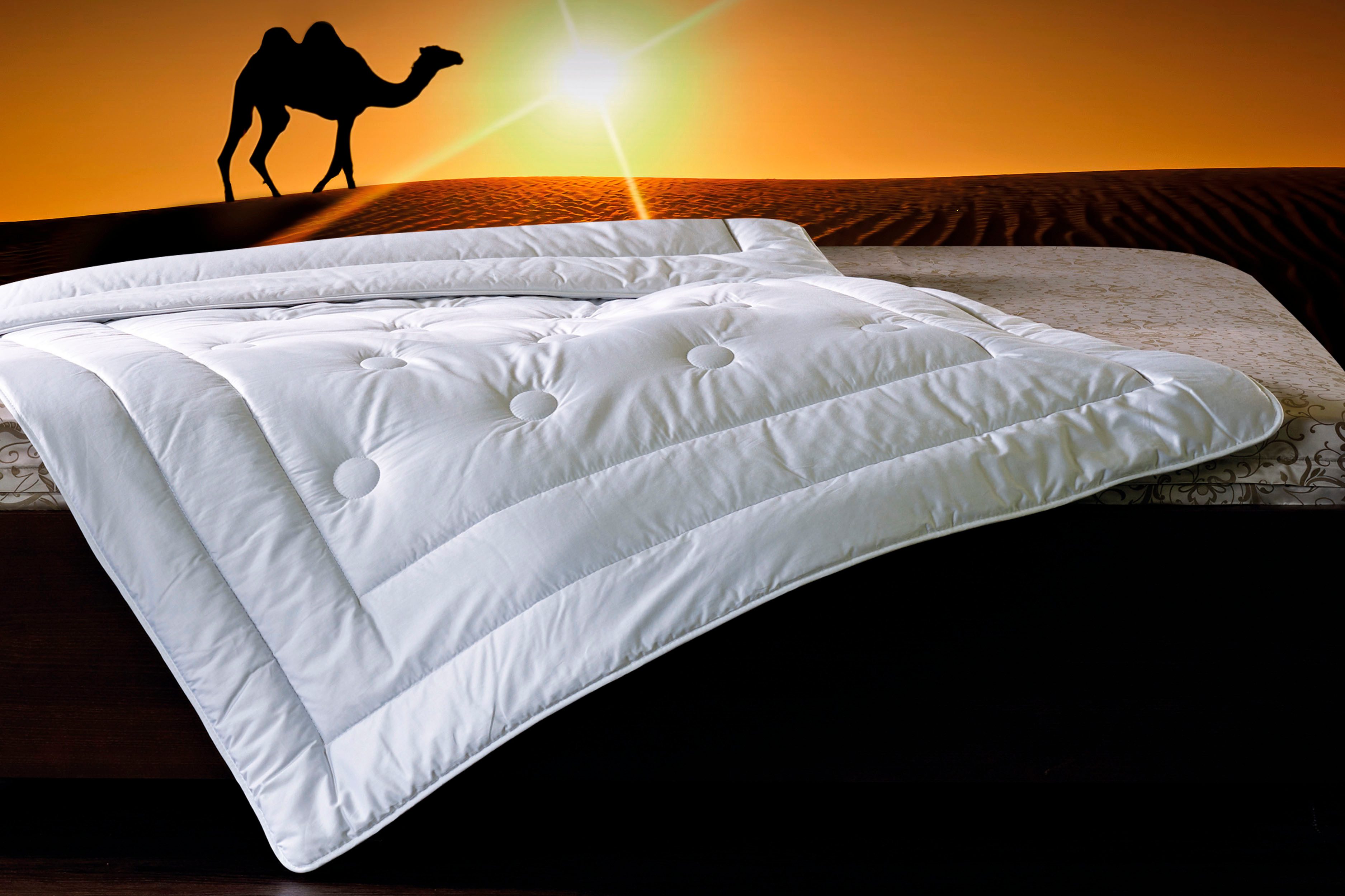Billerbeck Kamelhaardecke Natur Classic 342 Brilliant Duo billerbeck Naturhaarbettdecke Natur Classic 342 Brilliant, Bettdecken