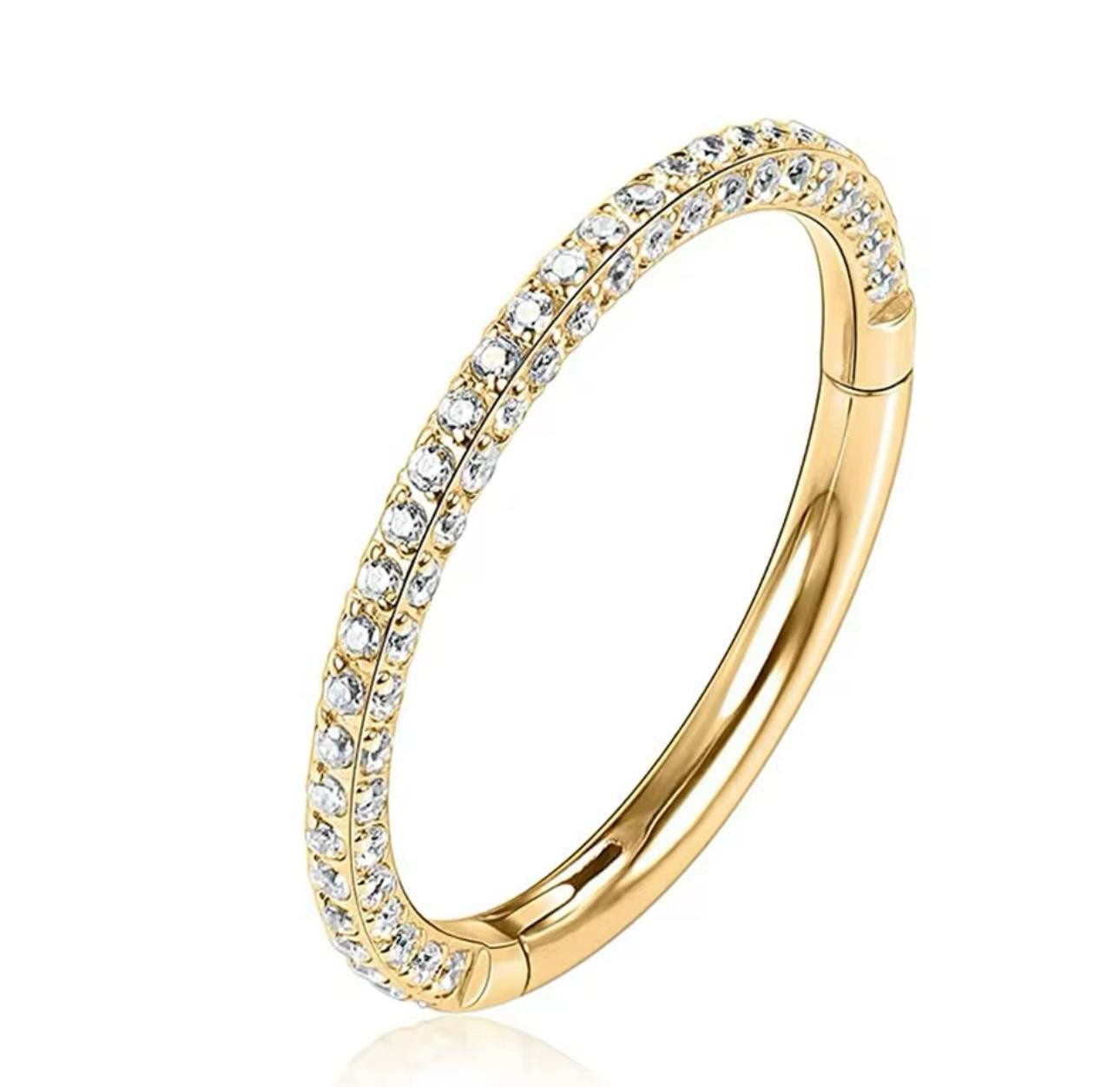 Karisma Schmuck Nasenpiercing Titan 23 Hinged Segmentring Charnier/Conch Cl günstig online kaufen