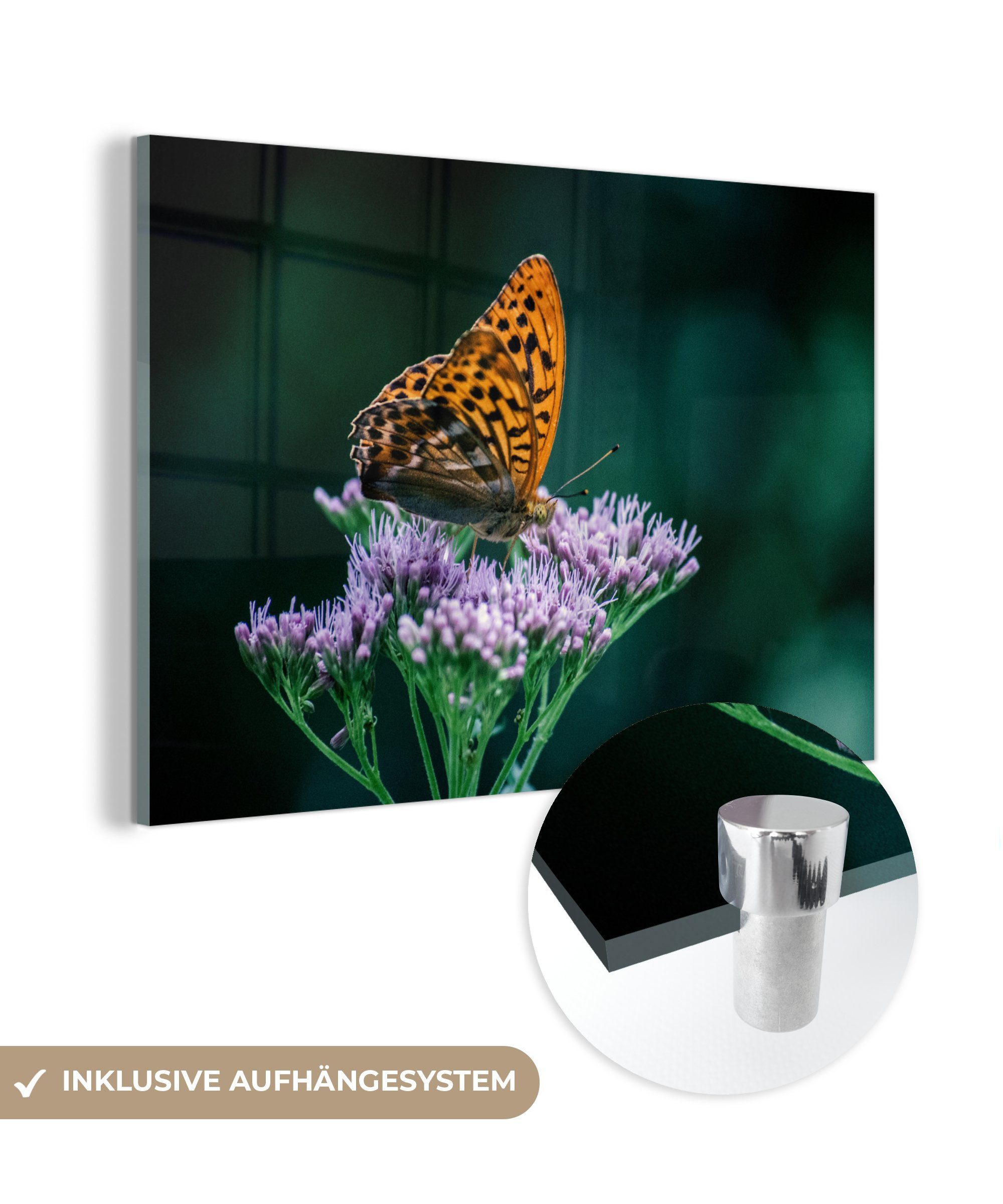 MuchoWow Acrylglasbild Blumen - Schmetterling - Porträt, (1 St), Acrylglasbilder Wohnzimmer & Schlafzimmer