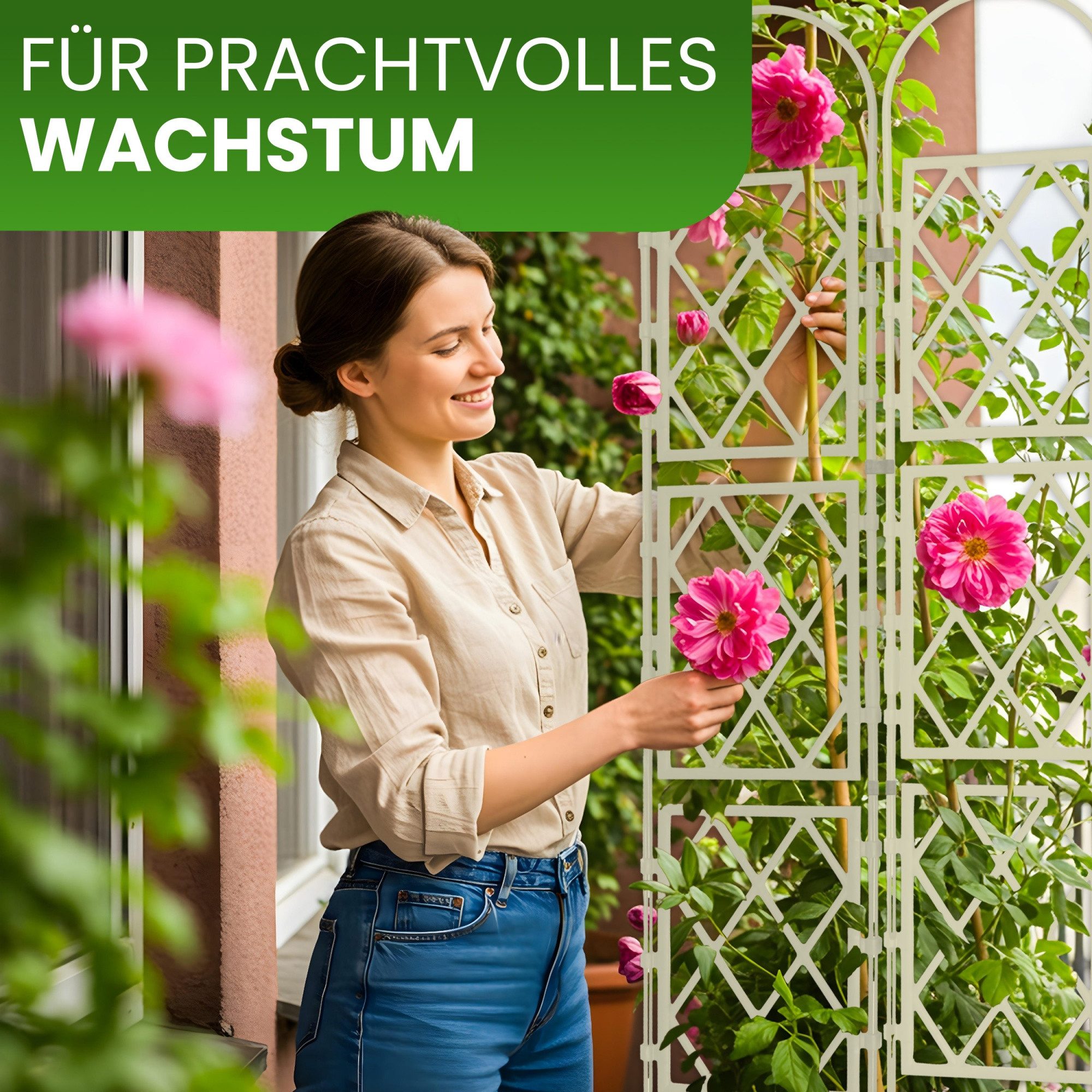 Gartenwelt Riegelsberger Rankhilfe Wandspalier mit Bogen günstig online kaufen