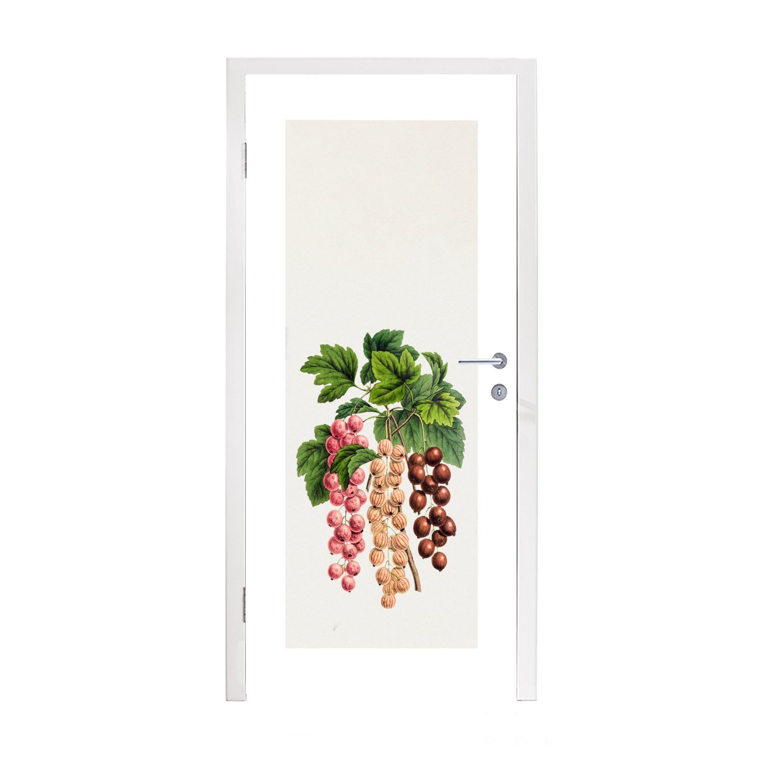 MuchoWow Türtapete Beeren - Lebensmittel - Obst, Matt, bedruckt, (1 St), Fototapete für Tür, Türaufkleber, 75x205 cm