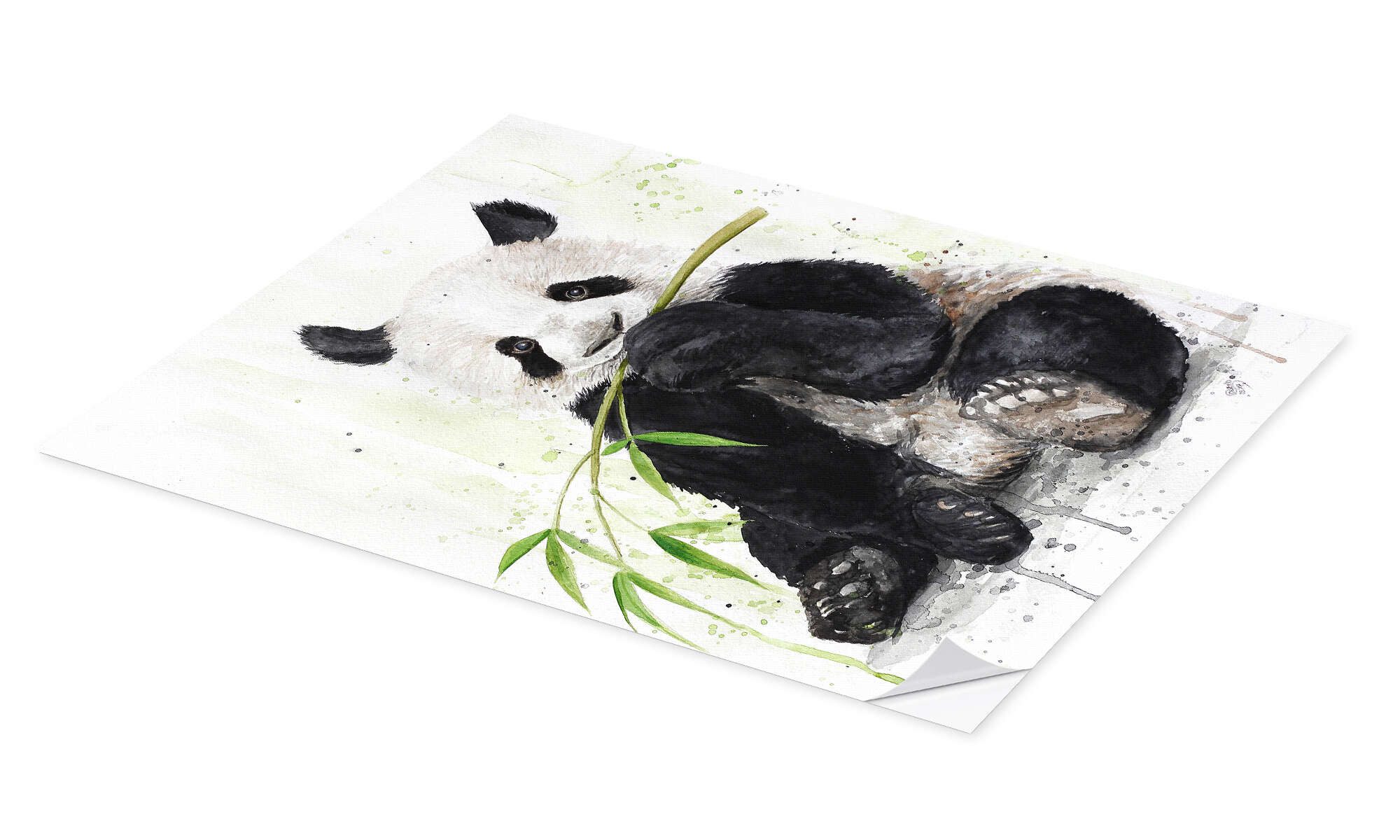 Posterlounge Wandfolie Nadine Conrad, Panda, Jungenzimmer günstig online kaufen
