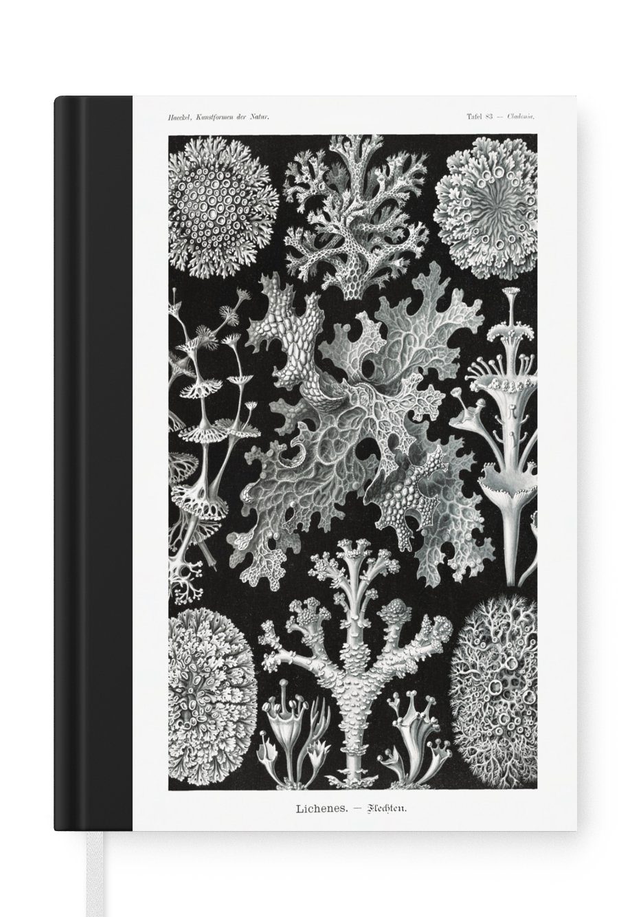 MuchoWow Notizbuch Kunst - Koralle - Ernst Haeckel - Alte Meister - Natur, Journal, Merkzettel, Tagebuch, Notizheft, A5, 98 Seiten, Haushaltsbuch