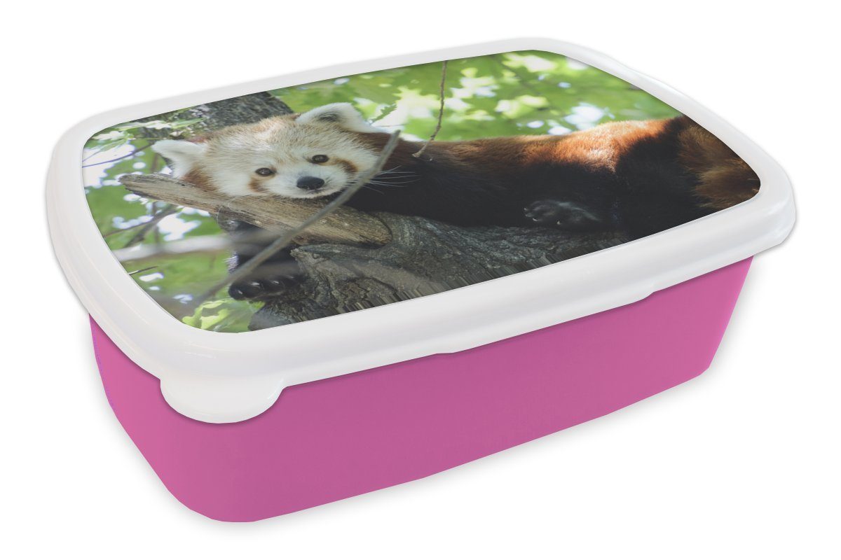 MuchoWow Lunchbox Roter Panda - Baum - Grün, Kunststoff, (2-tlg), Brotbox für Erwachsene, Brotdose Kinder, Snackbox, Mädchen, Kunststoff rosa
