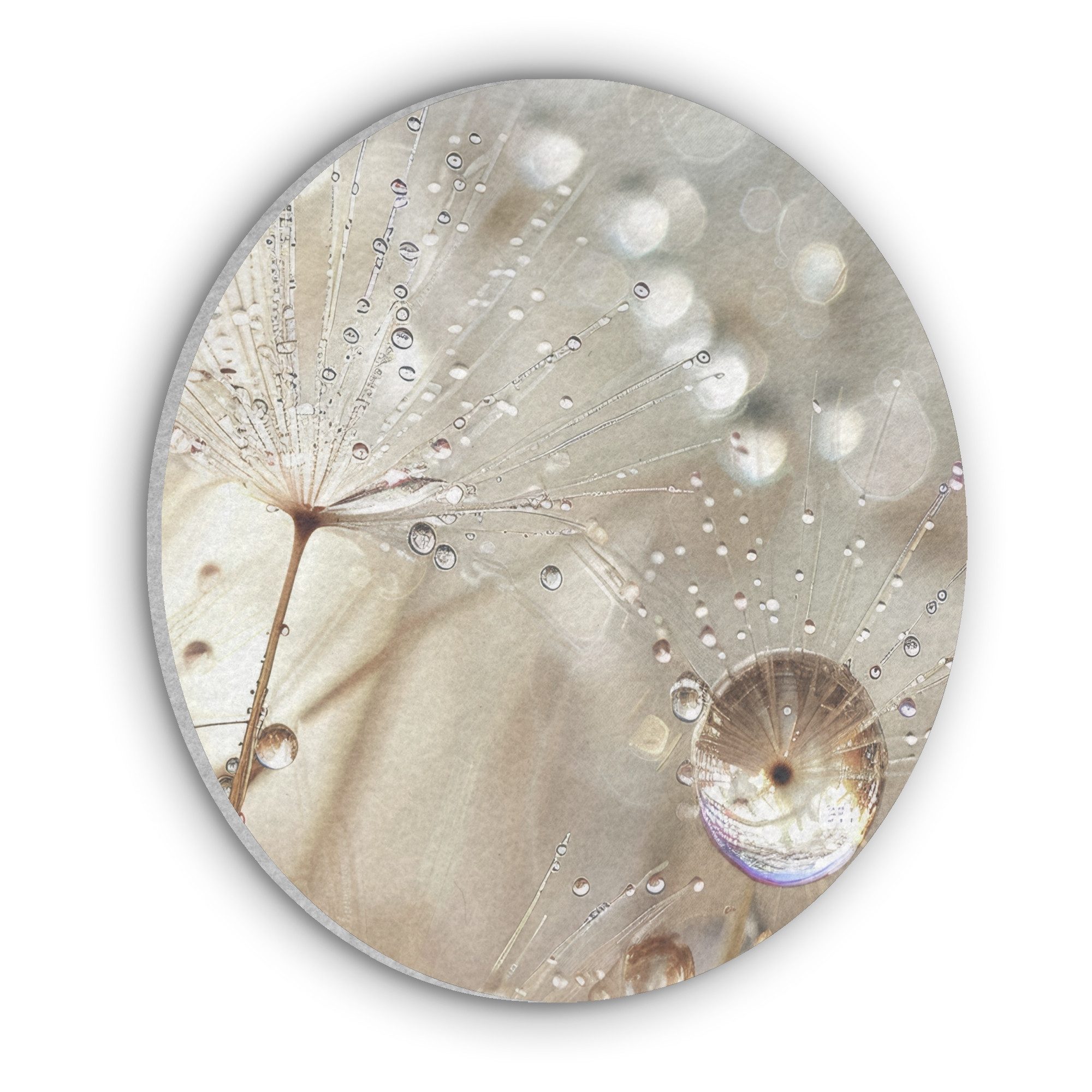 MuchoWow Gemälde Natur - Blumen - günstig online kaufen