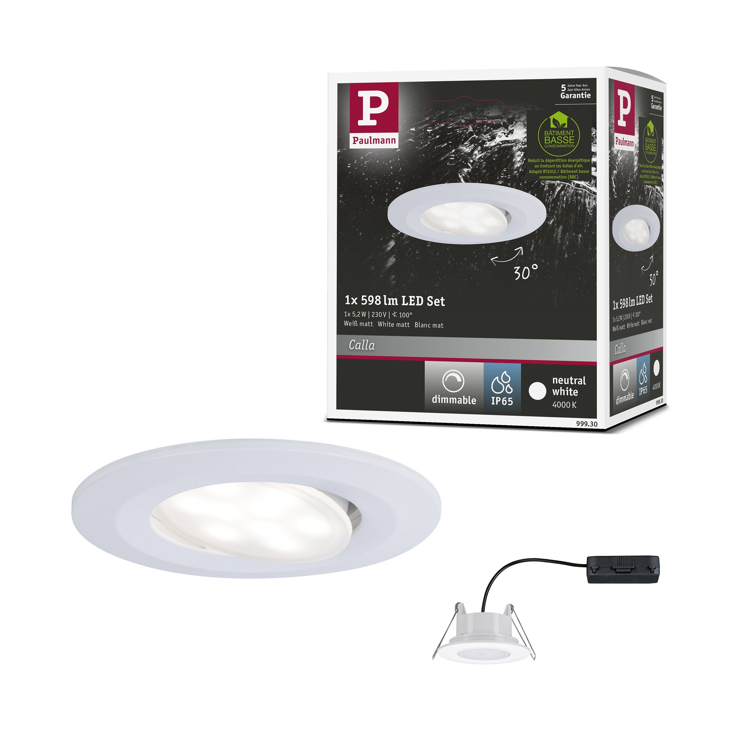 Paulmann LED Wandleuchte LED Einbauleuchte Calla schwenkbar IP65 rund 90 mm 30° 5,2W 460lm 230V