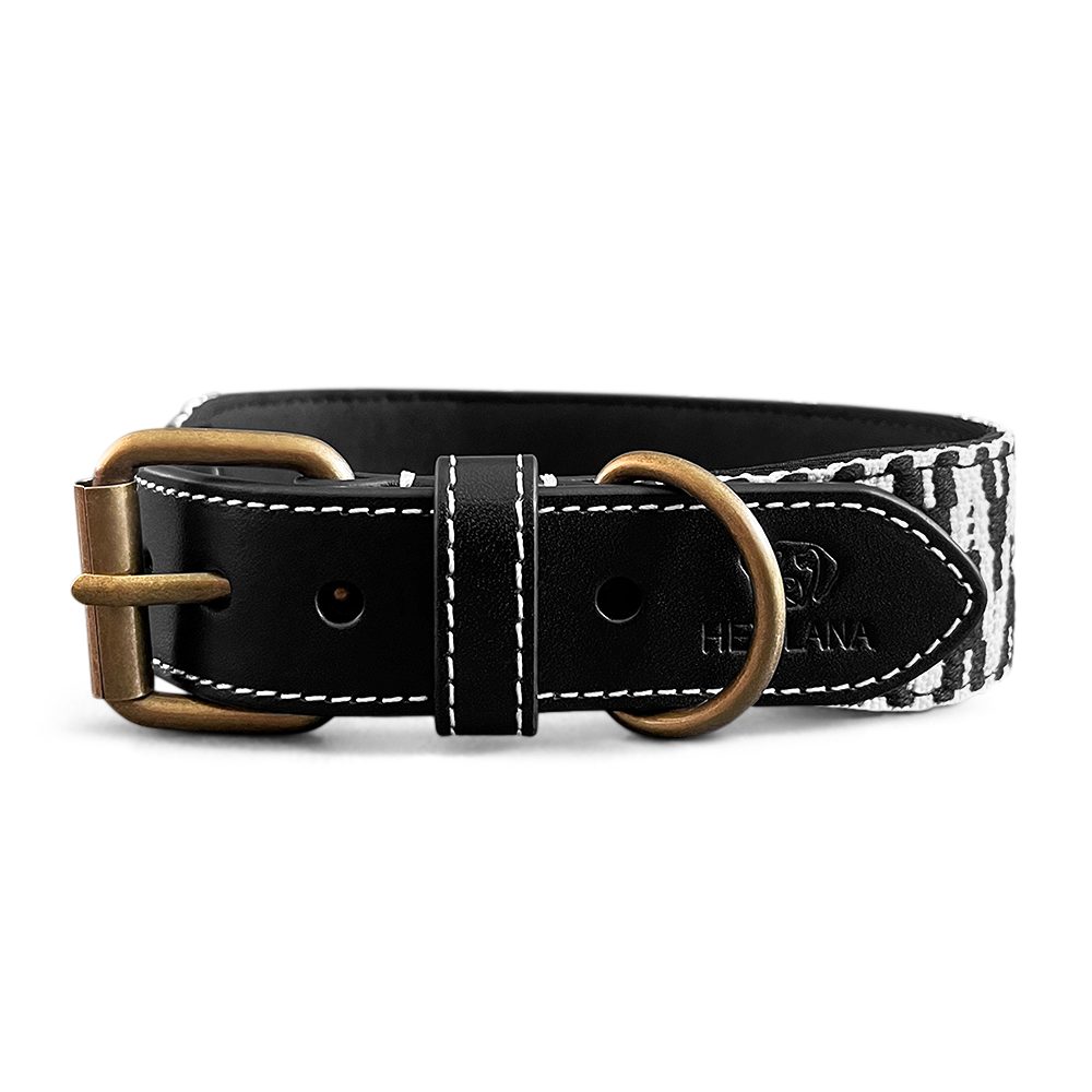 Hey Lana Hunde-Halsband Premium Hundehalsband Gepolstert