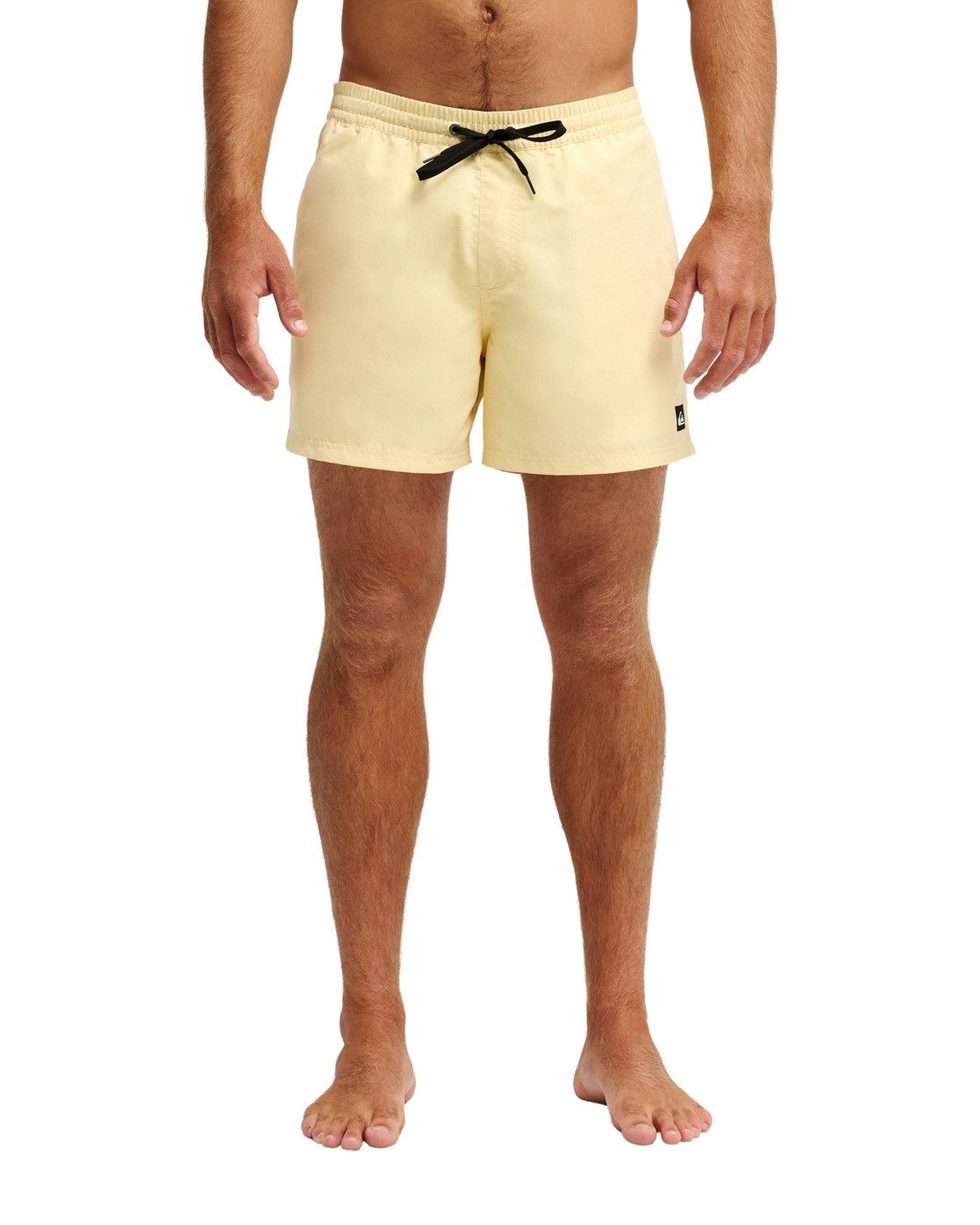 Quiksilver Boardshorts Everyday Solid Volley 15"