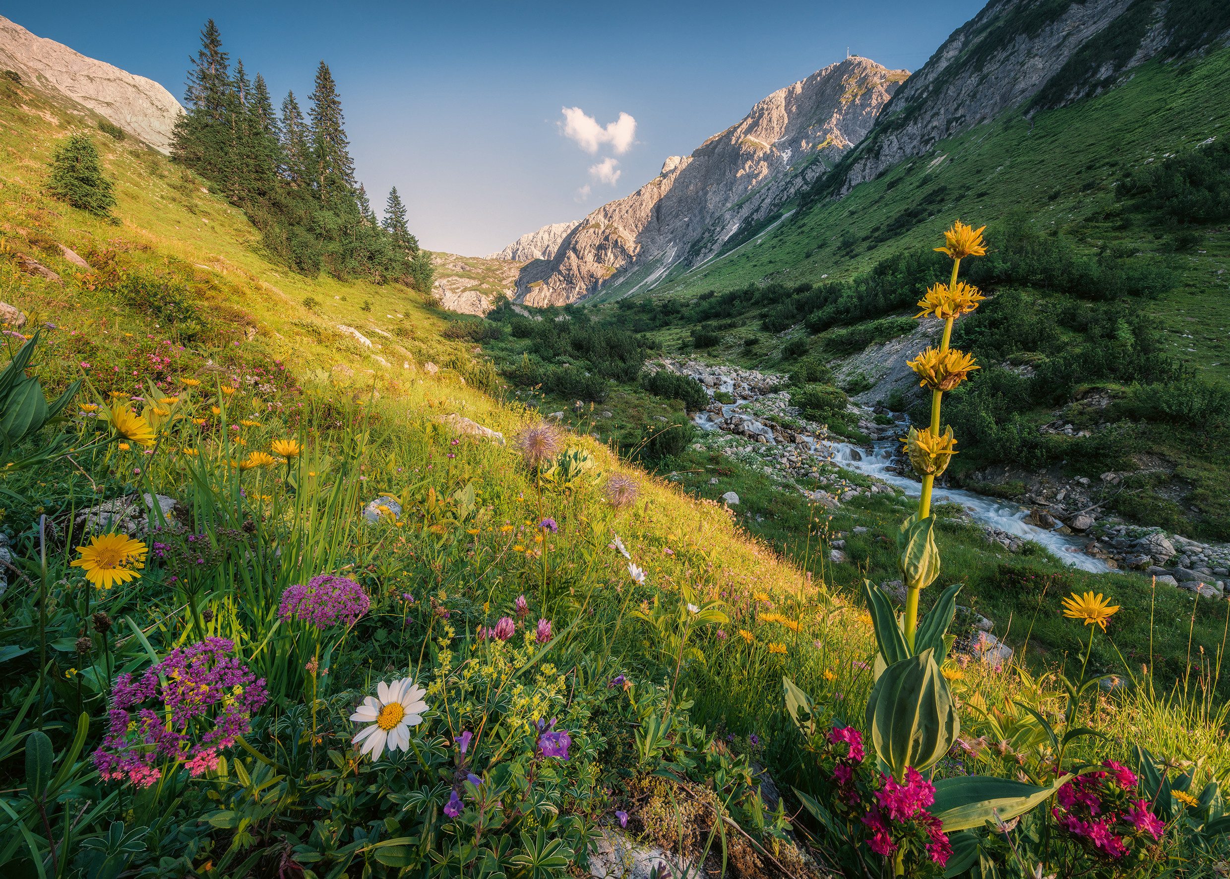 Ravensburger Puzzle Im Garten Eden, 1000 günstig online kaufen