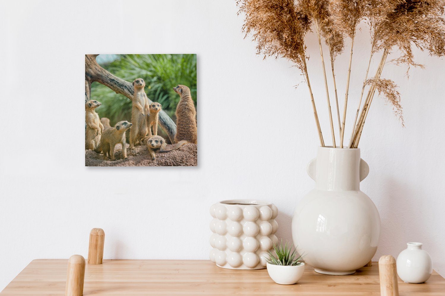 OneMillionCanvasses® Leinwandbild Erdmännchen Schlafzimmer für Familie - - Leinwand (1 St), Wohnzimmer Bilder Tiere