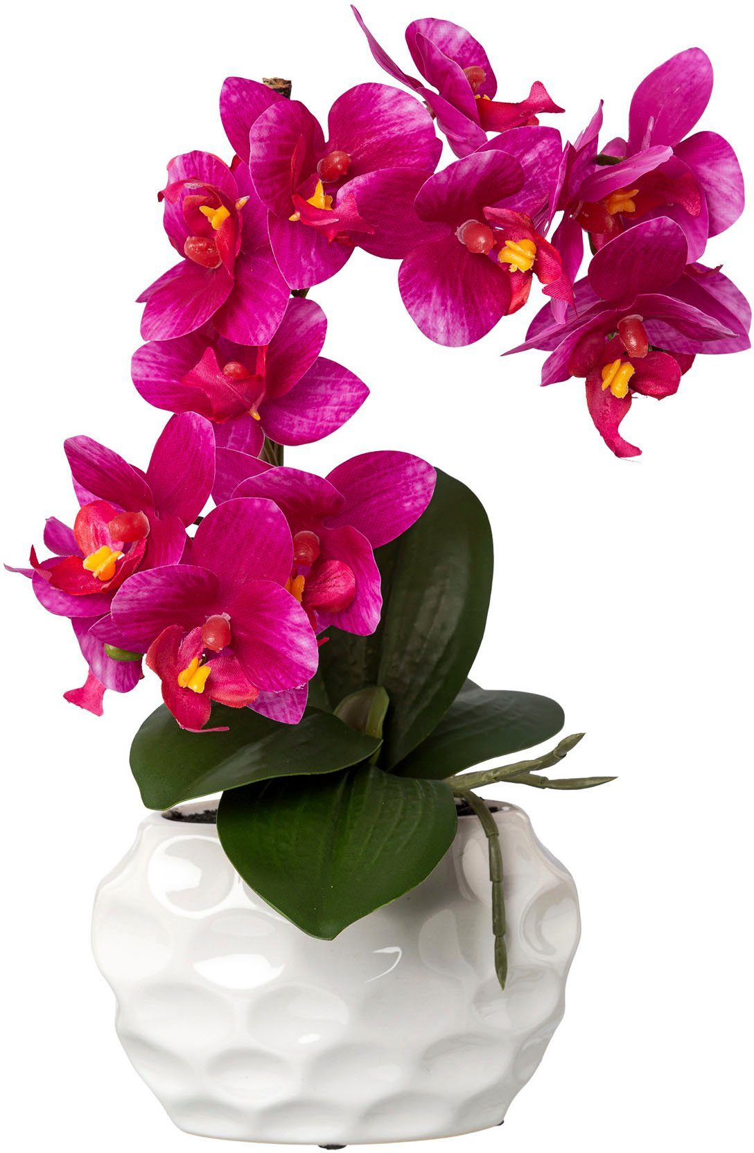 Kunstorchidee Deko-Orchidee Phalaenopsis im Keramiktopf Orchidee Phalenopsis, Creativ green, Höhe 33 cm