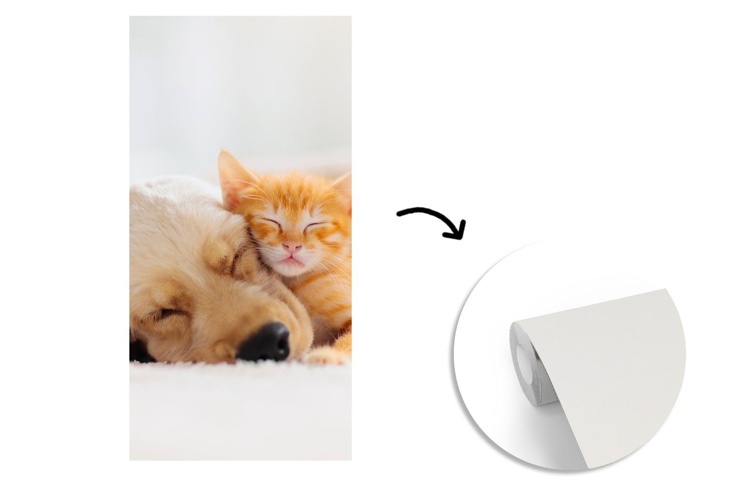 - Kätzchen MuchoWow - Vliestapete Rot, bedruckt, Fototapete St), Fototapete für Wohnzimmer Tiere Schlafzimmer (2 Hund Küche, Matt, -