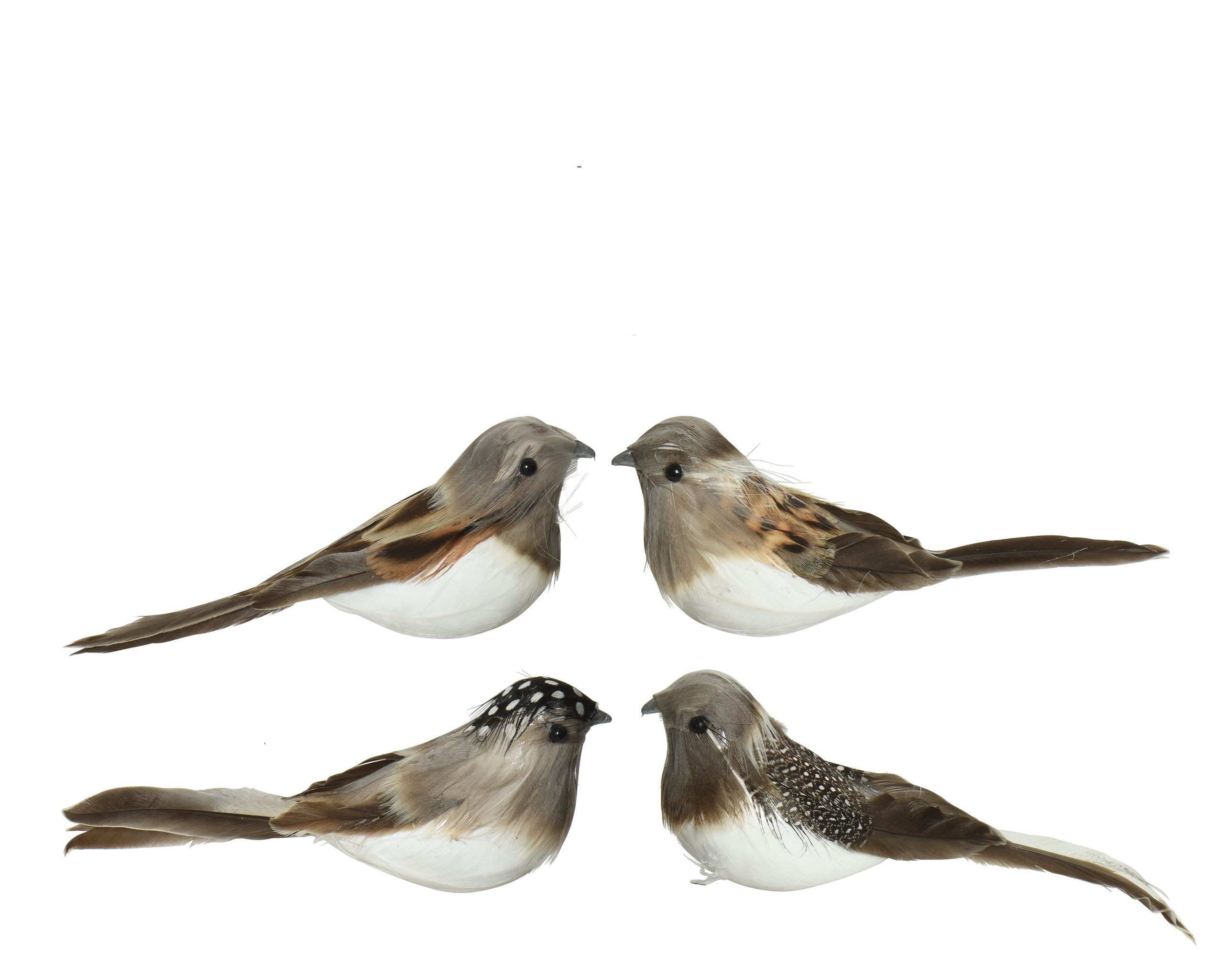 Decoris season decorations Tierfigur, Vögel mit Federn auf Clip 11x4x4cm 2er Set sortiert