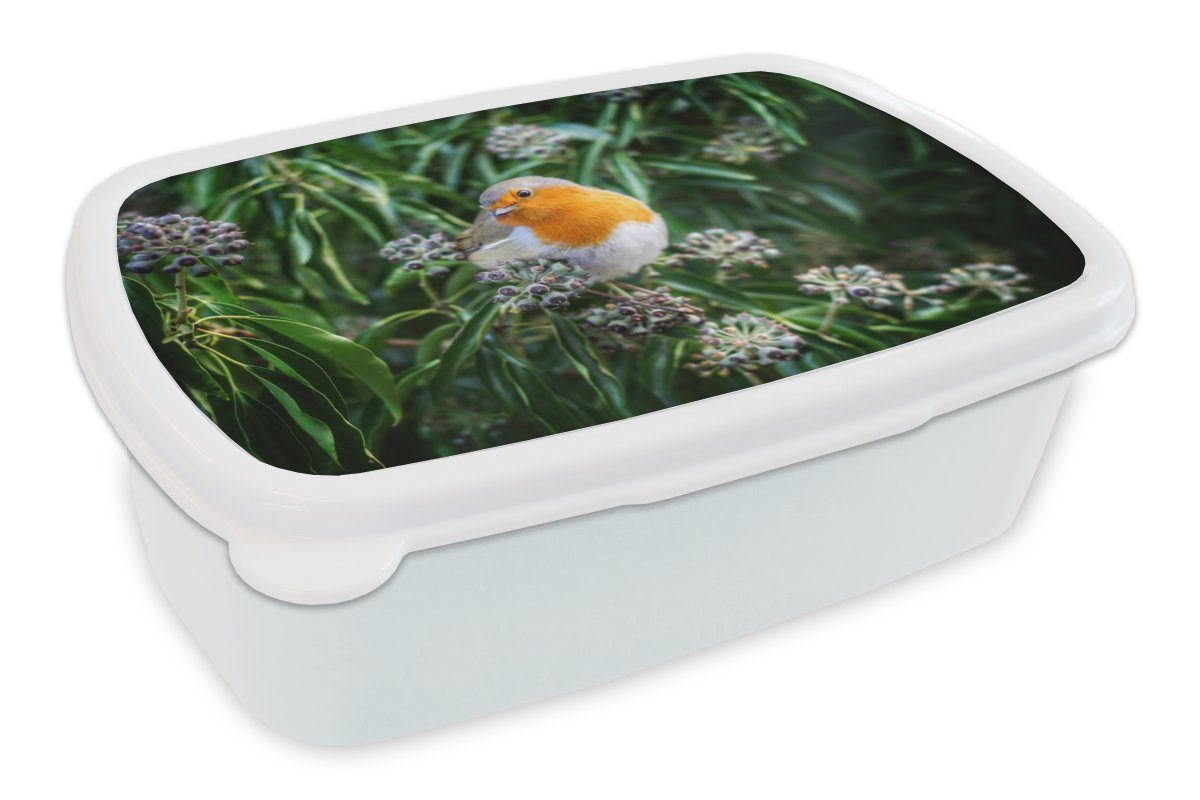 MuchoWow Lunchbox Erwachsene, - Jungs Rotkehlchen, Brotdose, und Mädchen für für Kunststoff, Kinder Brotbox - Vogel (2-tlg), und weiß Blumen