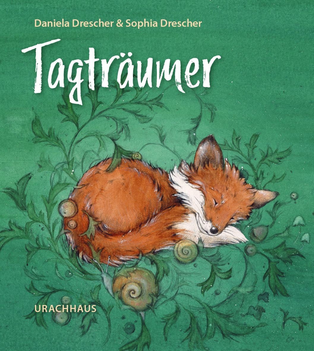 Kinderbuch Tagträumer Daniela Drescher