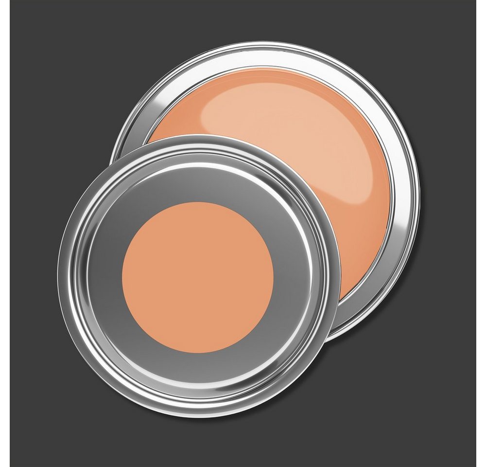 Thumbnail - BRICOFLOR Wandfarbe Orange, Farben