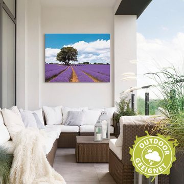 Artland Wandbild Schönes Lavendelfeld im Sommer, Felder (1 St), als Alubild, Outdoorbild, Leinwandbild in verschied. Größen