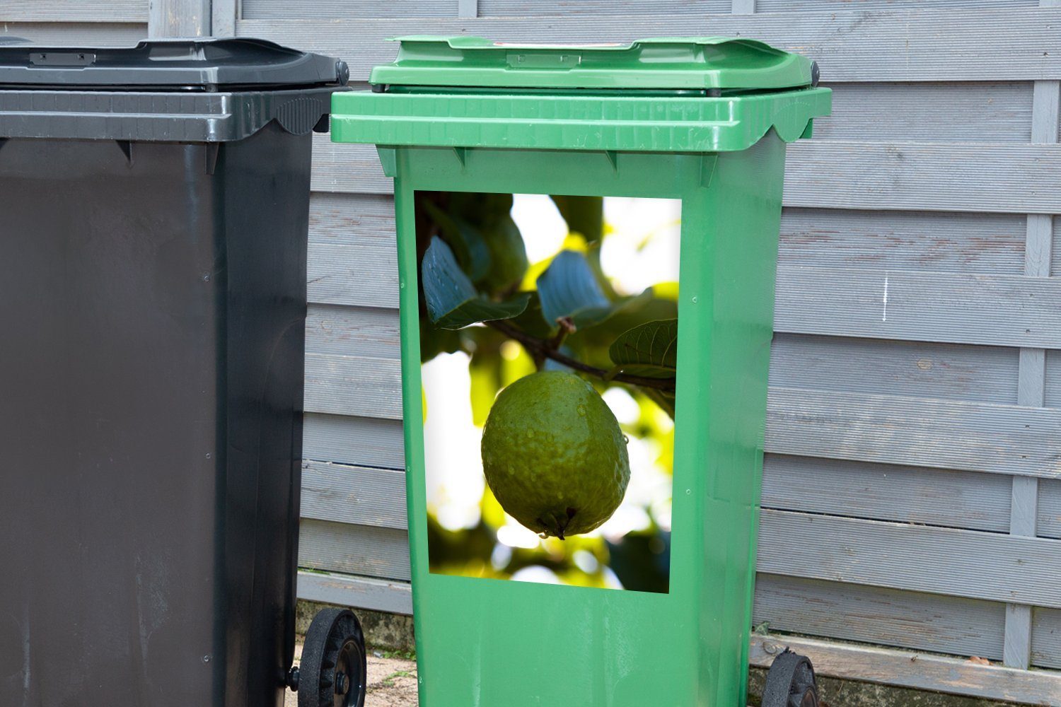St), Sticker, mit Wandsticker Sonnenlicht Nahaufnahme Container, Abfalbehälter Mülleimer-aufkleber, einem in dahinter Baum (1 Guavenfrucht MuchoWow Mülltonne, einer