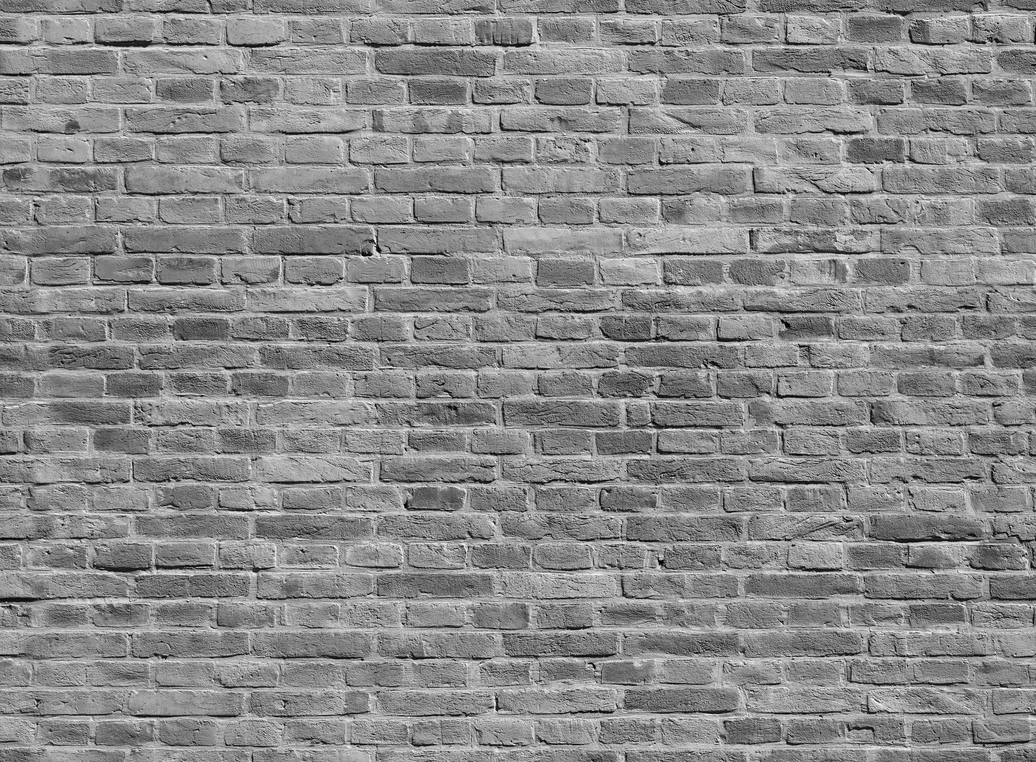 Papermoon Fototapete Ziegelwand Schwarz & Weiß