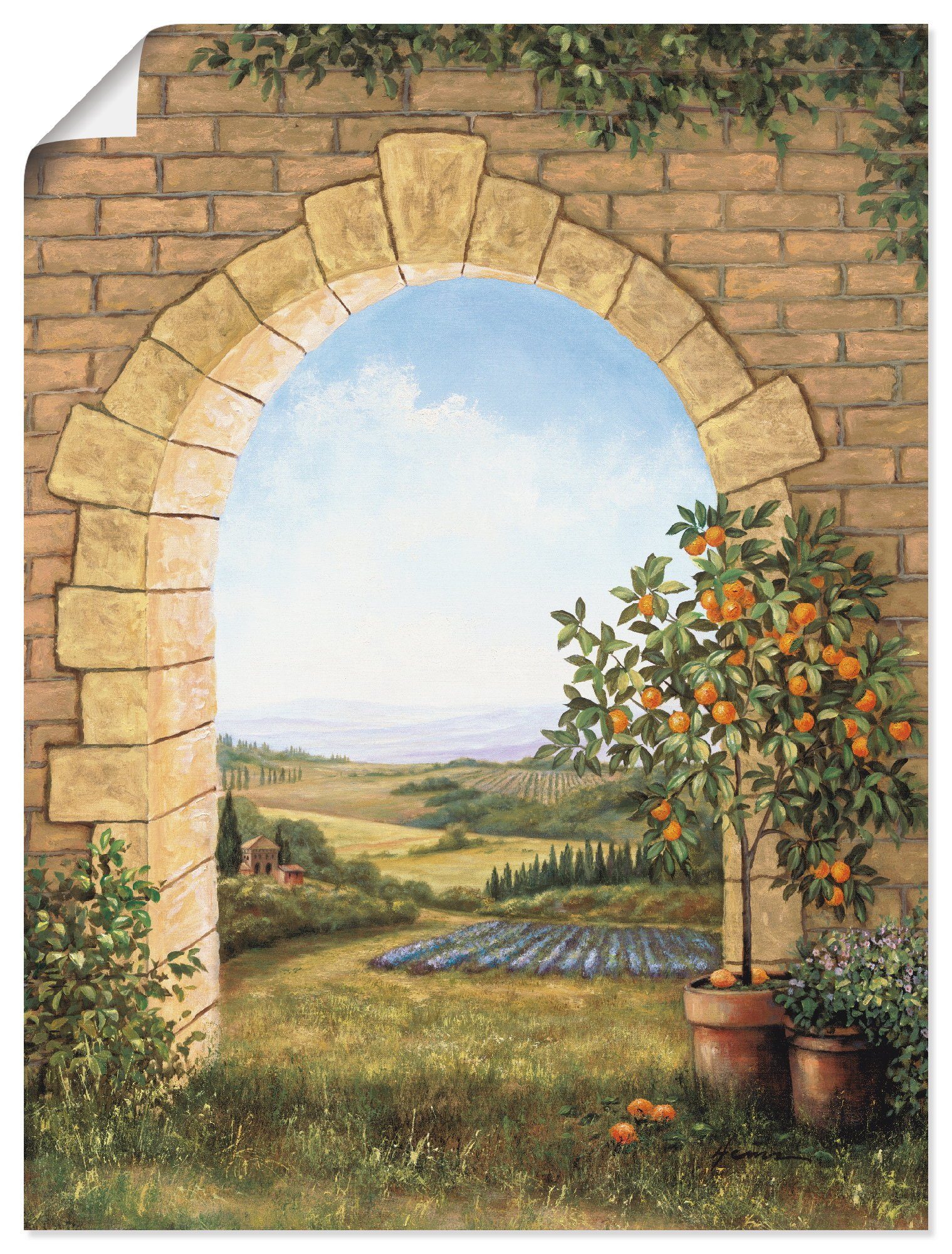Artland Wandbild Orangenbaum vor dem Torbogen, Fensterblick (1 St), als Alubild, Leinwandbild, Wandaufkleber oder Poster in versch. Größen