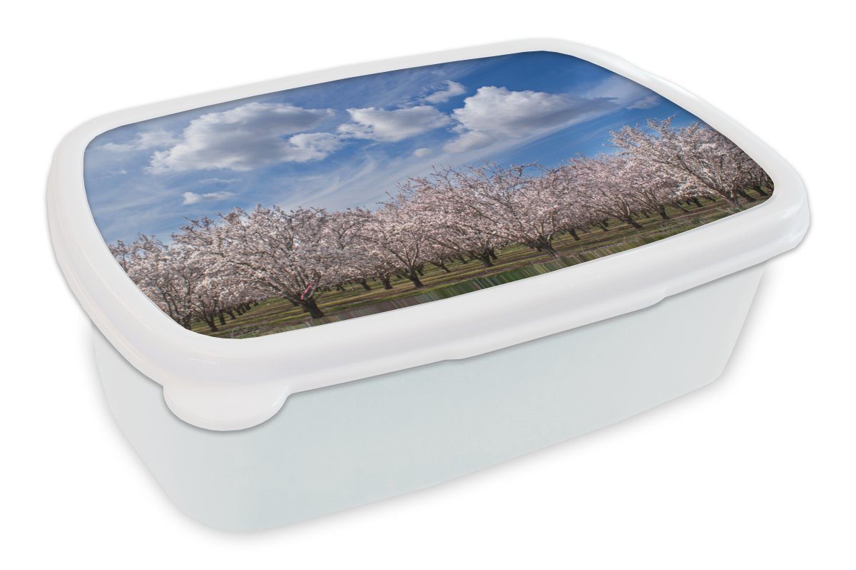 MuchoWow Lunchbox Mandelbäume unter klarem Himmel, Kunststoff, (2-tlg), Brotbox für Kinder und Erwachsene, Brotdose, für Jungs und Mädchen weiß